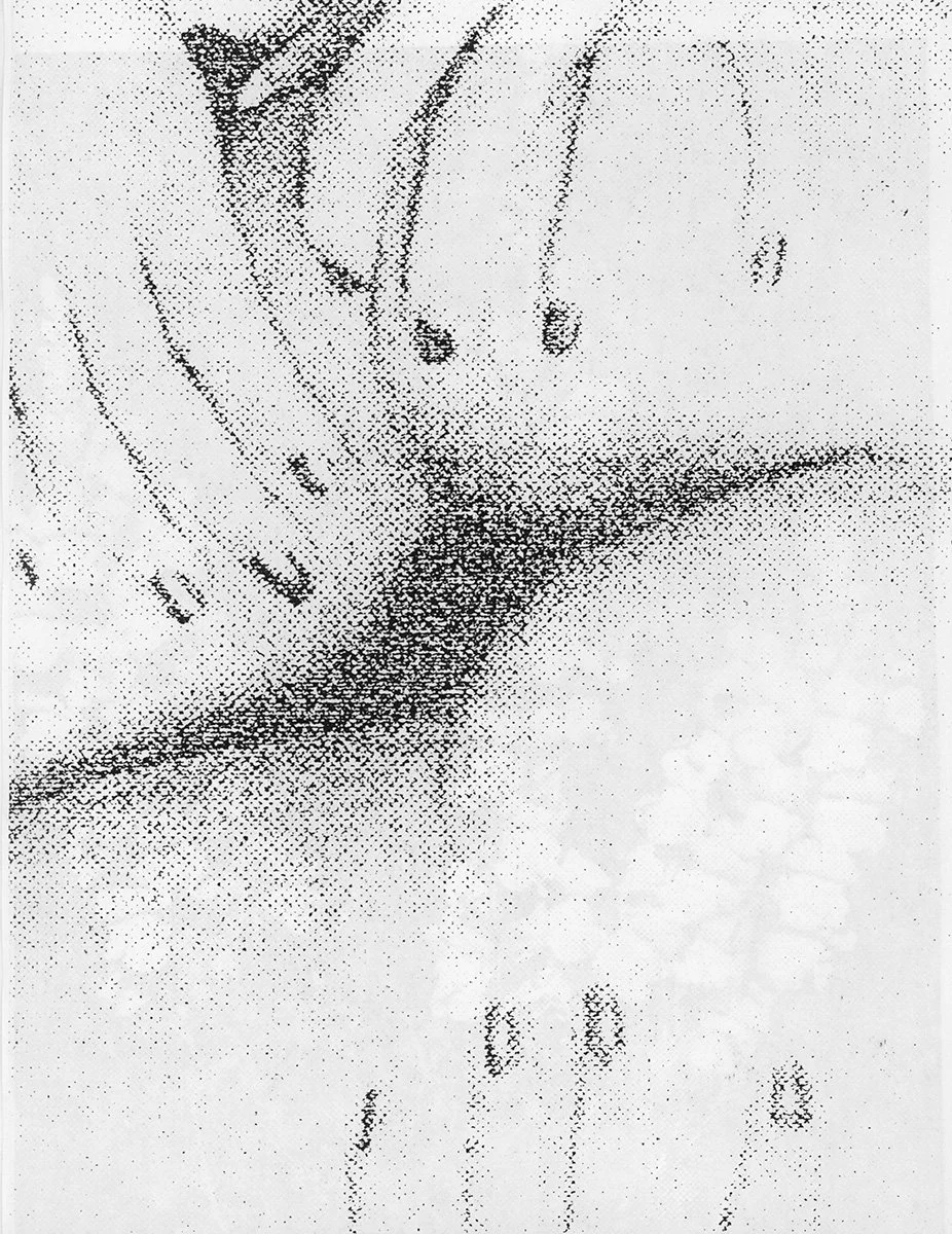 VOID_Fishworm_13_1200px.jpg