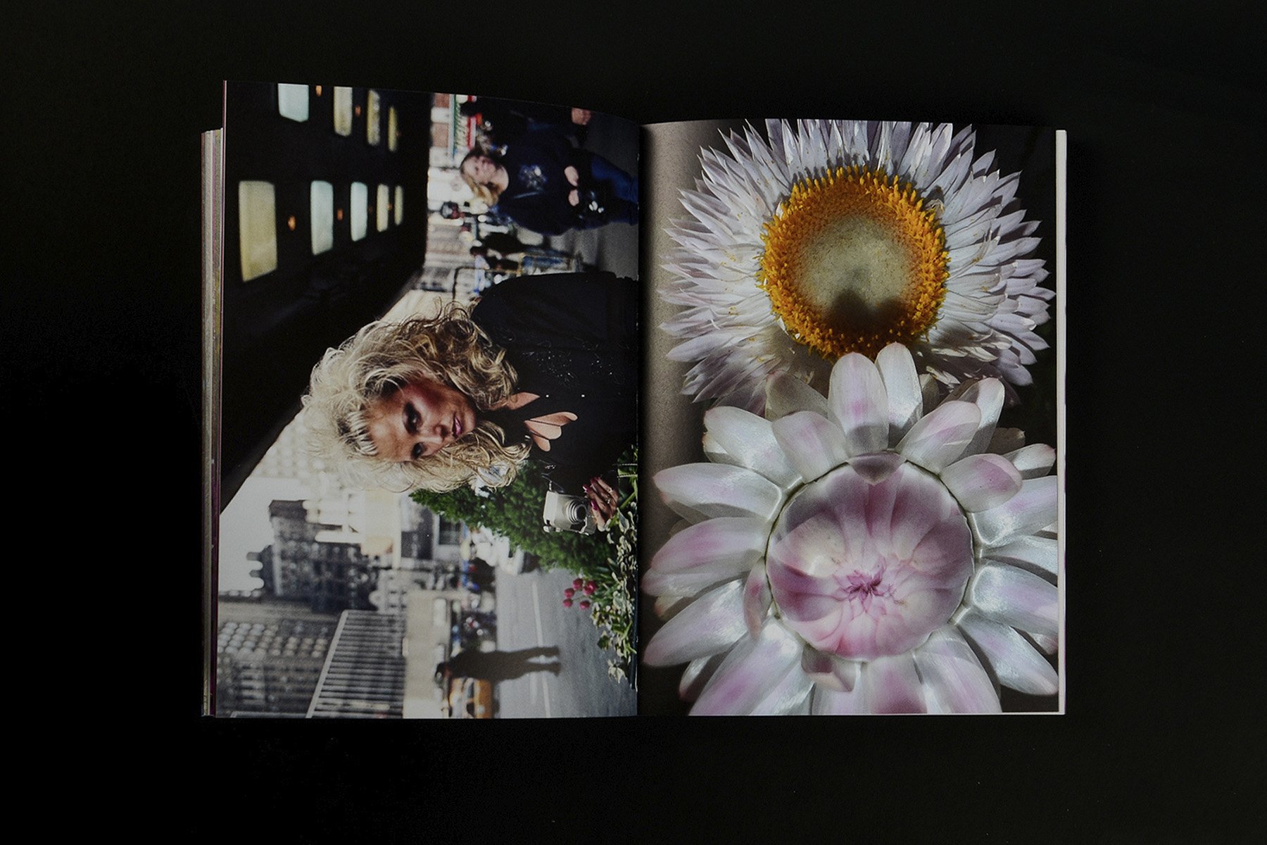 VOID_What if Jeff were a butterfly_17_EDIT_1200px.jpg