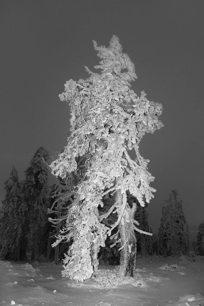 VOID Elena Helfrecht Unternächte_7.jpg