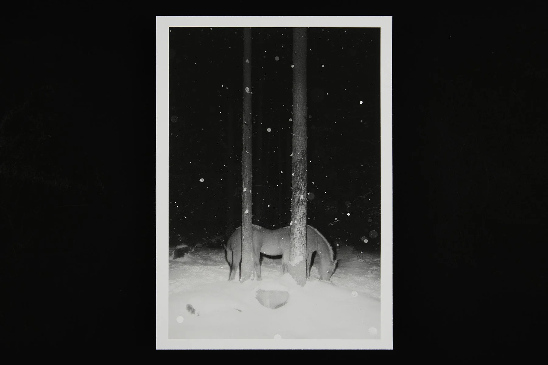 VOID Unternächte_221_EDIT_1200px.jpg