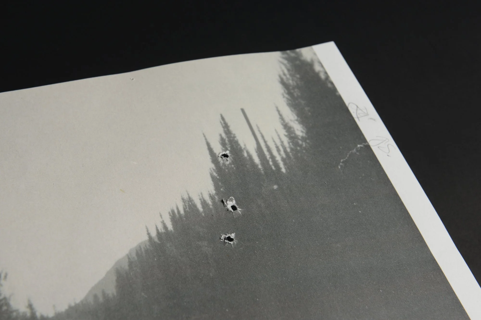 VOID Fishworm COLLECTORS_42_EDIT_1200px.jpg