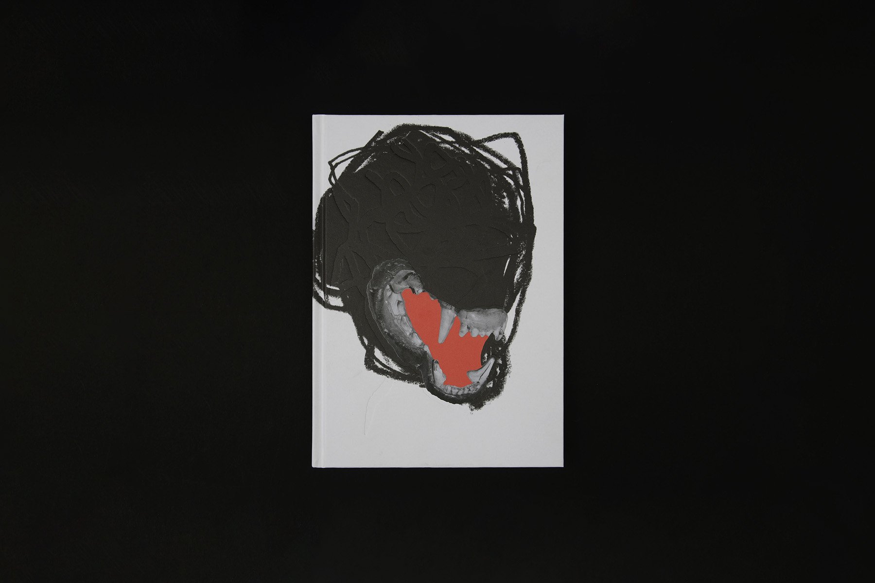 VOID Gut Feeling_1_small_EDIT_1200px.jpg