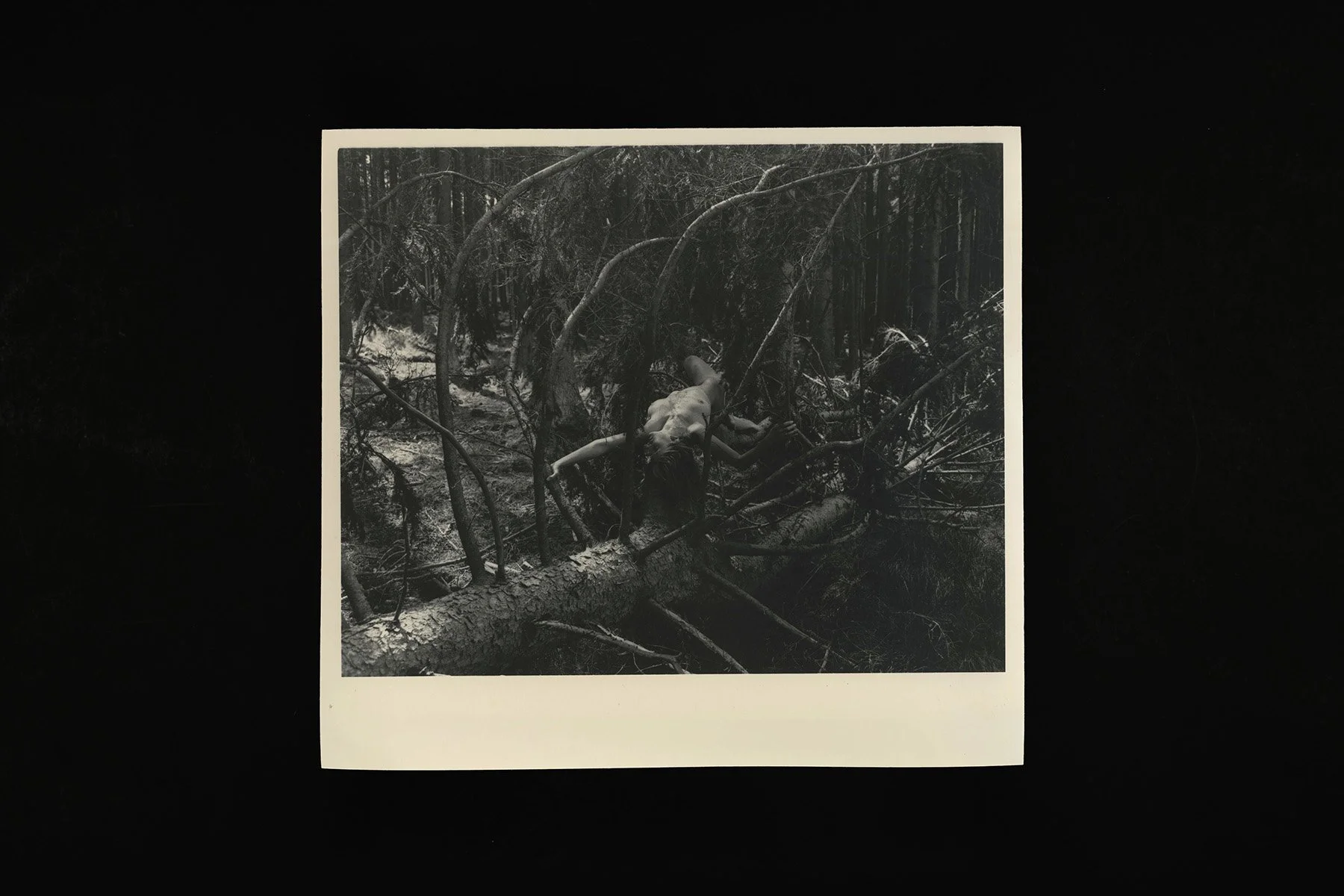 VOID By the pulling special print_woman_1200px.jpg