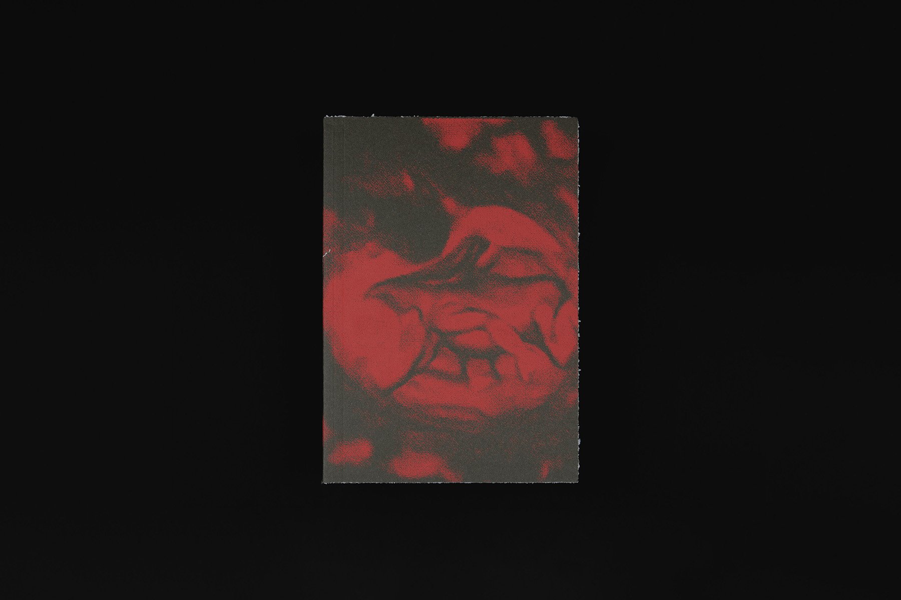 VOID JJ VFF VV_3_EDITsmall_1200px.jpg