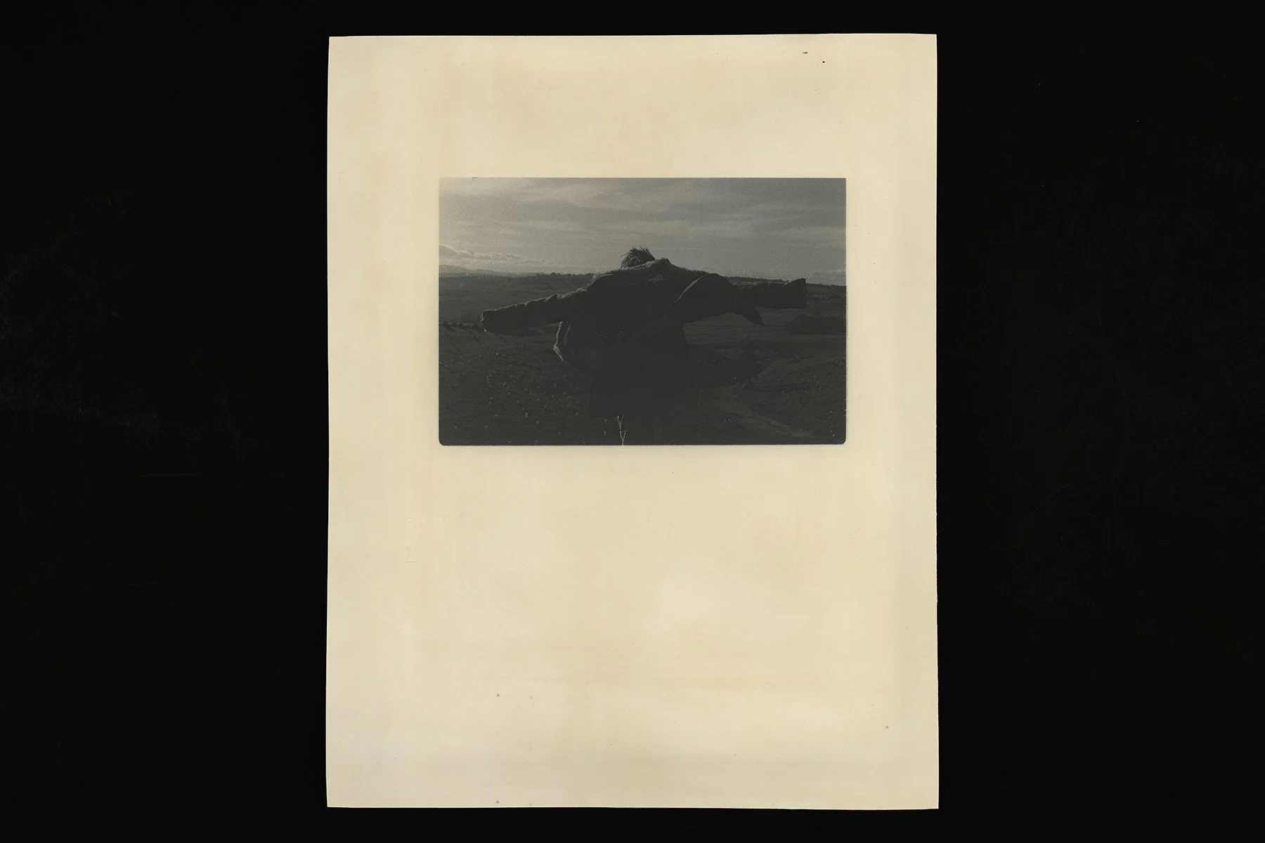 VOID By the pulling special print_arms_1200px.jpg