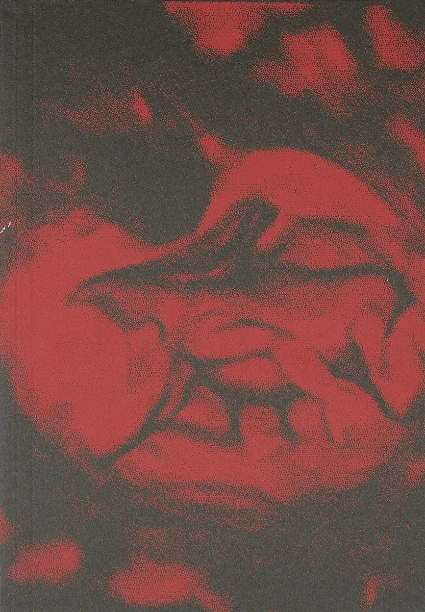João Linneu – JJ VFF VV