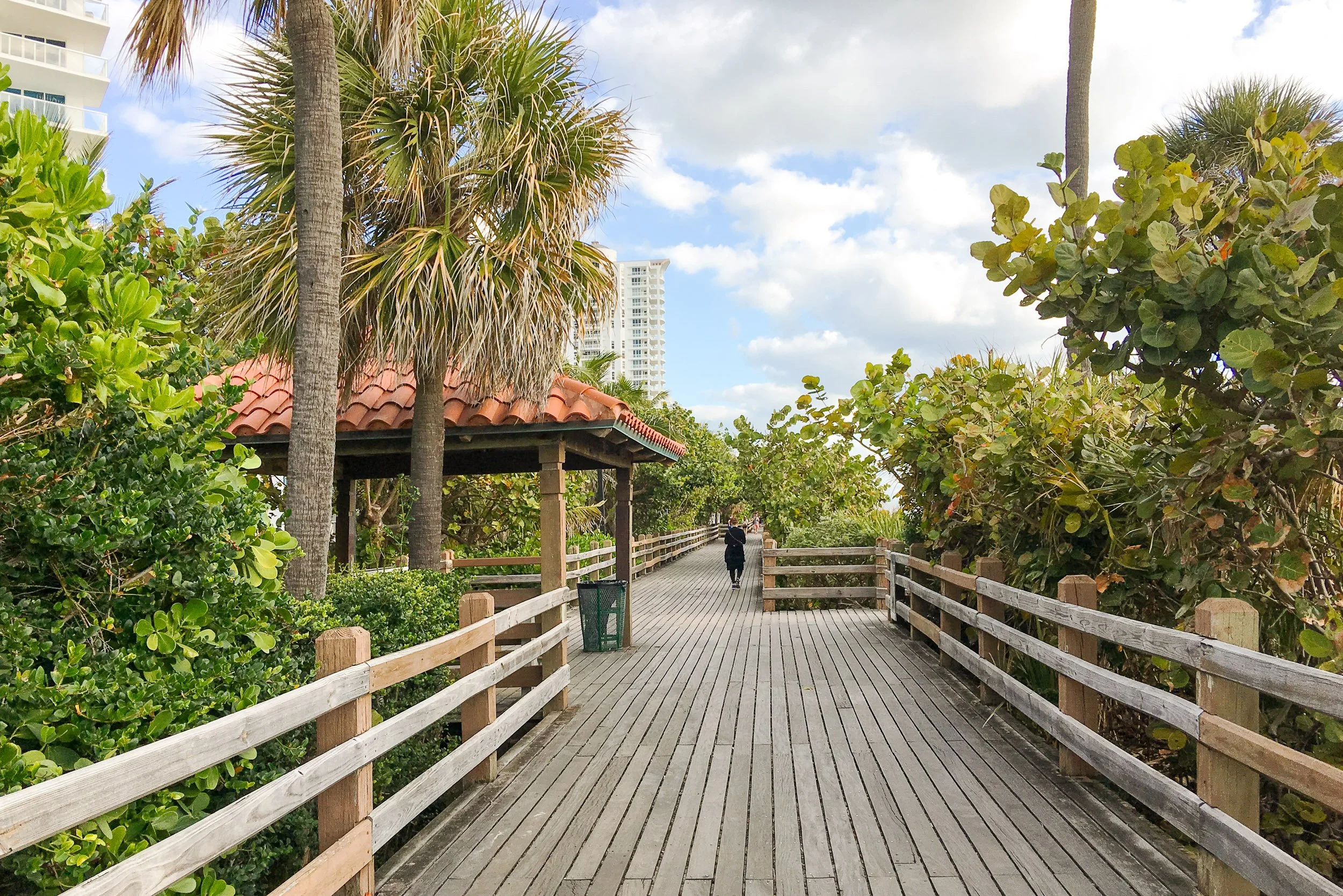 Floride_IMG_0482.jpg