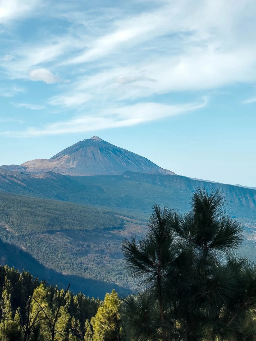 🌲Corona Forestal
La route secr&egrave;te qui t&rsquo;emm&egrave;ne vers le Teide. 

Cette route traverse le Corona Forestal, la plus grande for&ecirc;t prot&eacute;g&eacute;e des Canaries et on comprend vite pourquoi ils l&rsquo;ont prot&eacute;g&ea