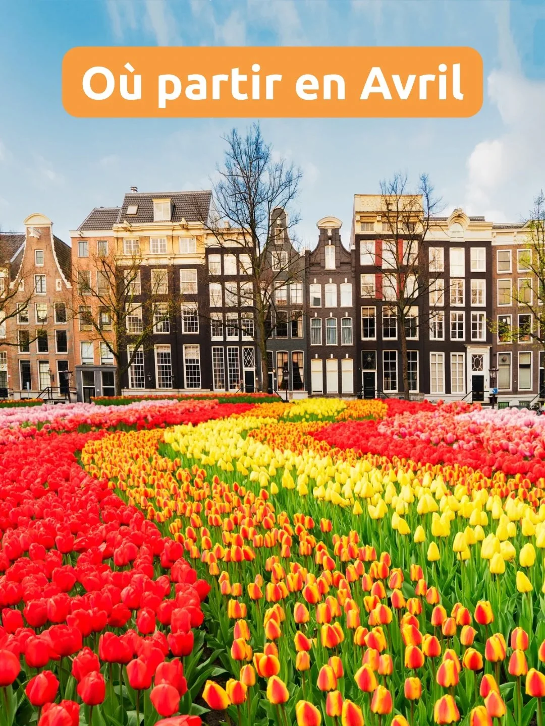 Comme chaque mois, on te partage quelques id&eacute;es de destinations.

Le printemps s&rsquo;installe, les journ&eacute;es rallongent et certaines destinations deviennent particuli&egrave;rement magiques &agrave; cette p&eacute;riode.

C&rsquo;est n