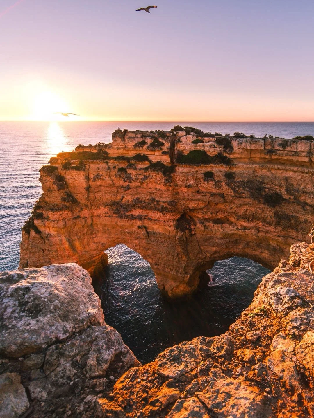 🌍 Partie 3/3 de nos plus belles golden hours 

On a un petit probl&egrave;me, on n&rsquo;arrive jamais &agrave; r&eacute;sister &agrave; une golden hour.

Que ce soit t&ocirc;t le matin ou en fin de journ&eacute;e,
on finit toujours par s&rsquo;arr&