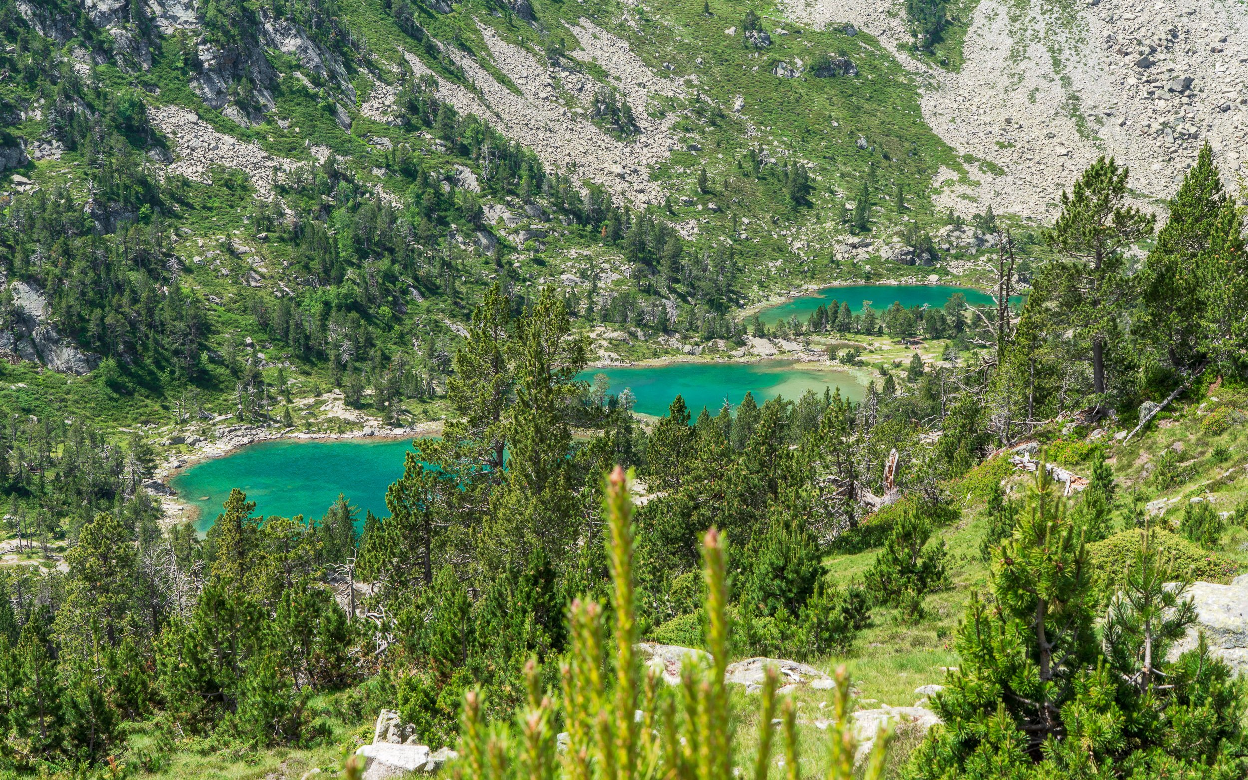Vue sur les laquettes du Néouvielle dans les Hautes-Pyrénées
