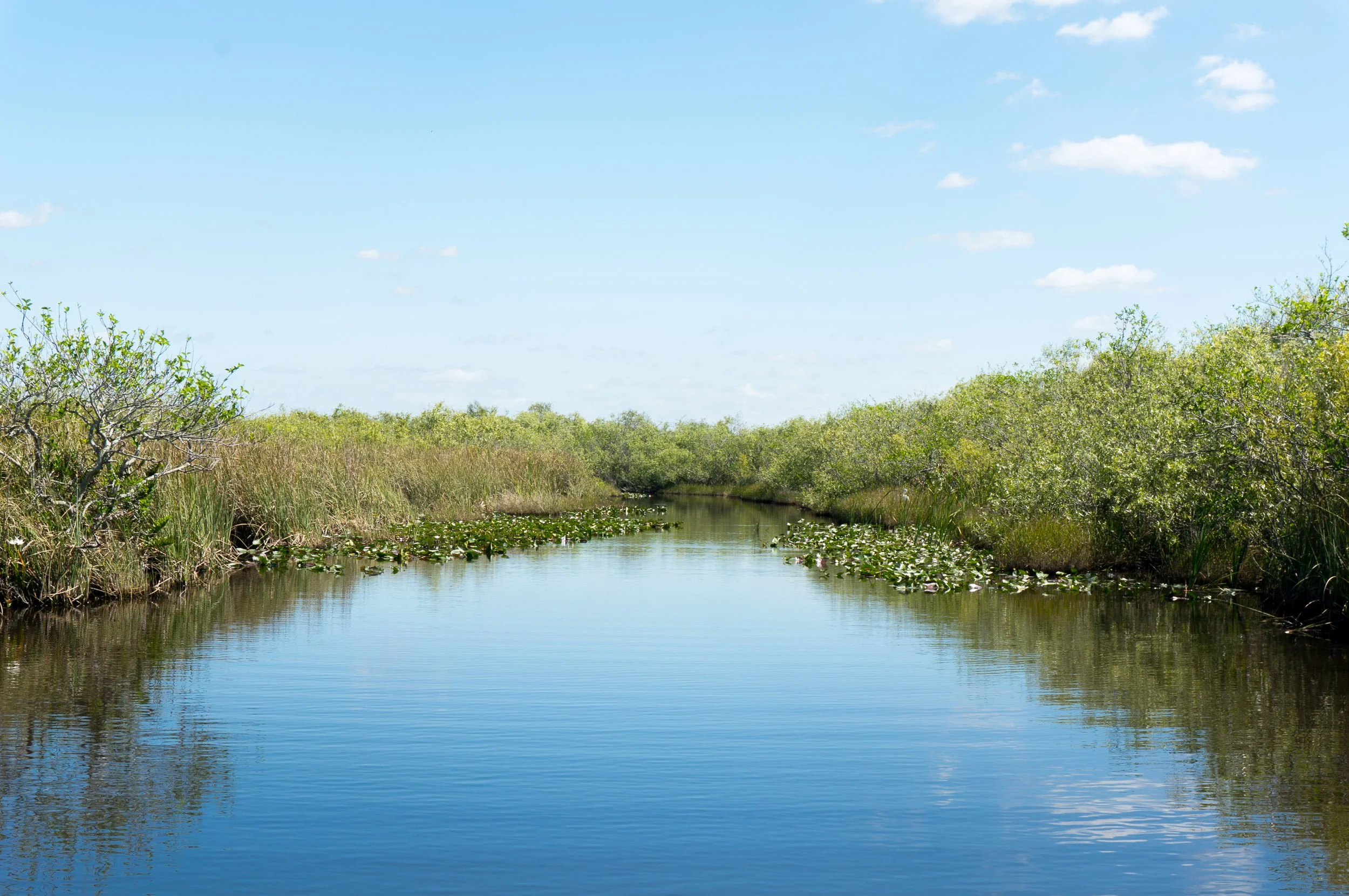 Floride_DSC04266.jpg