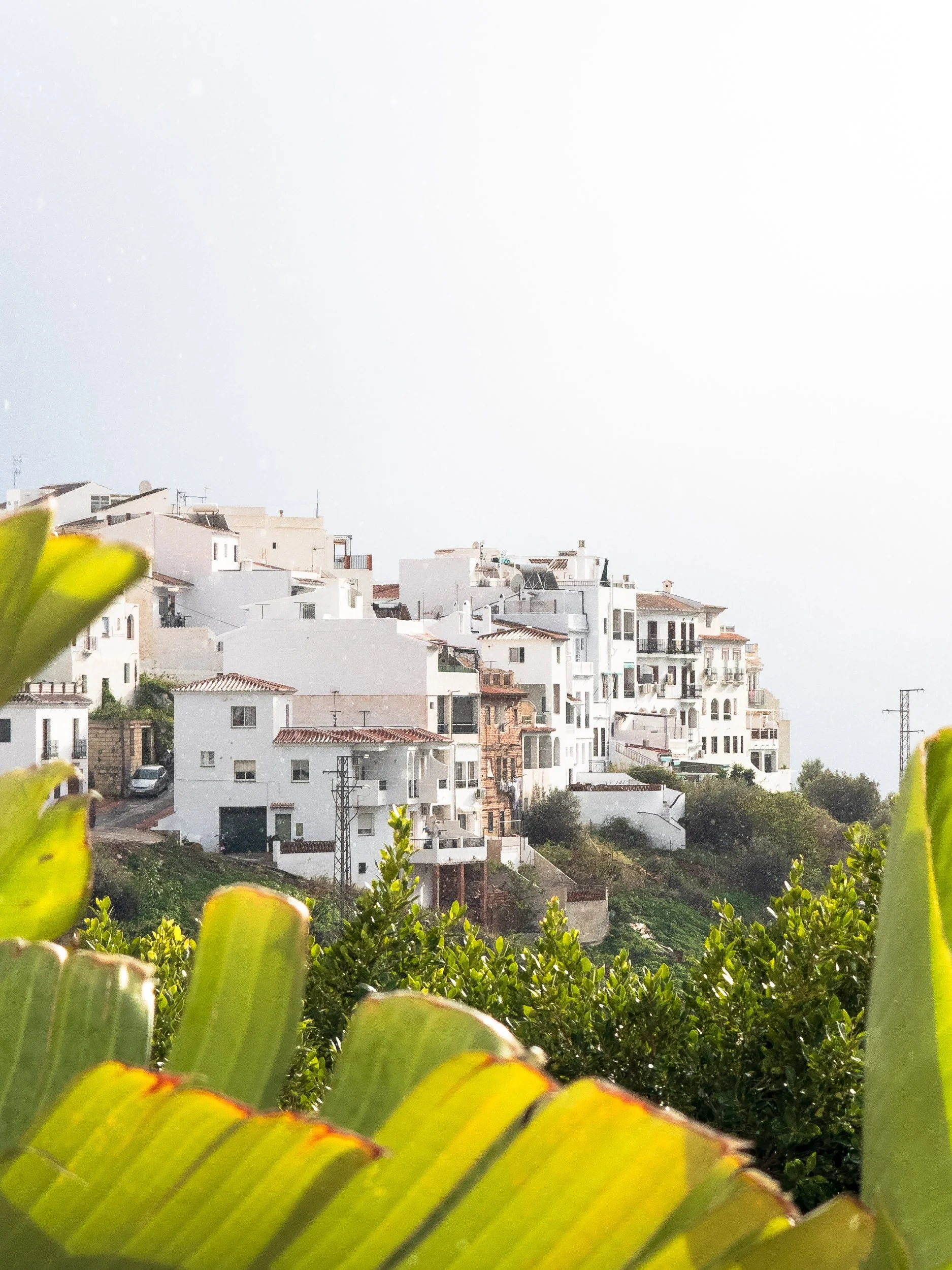Visiter-andalousie-Frigiliana-6.jpg