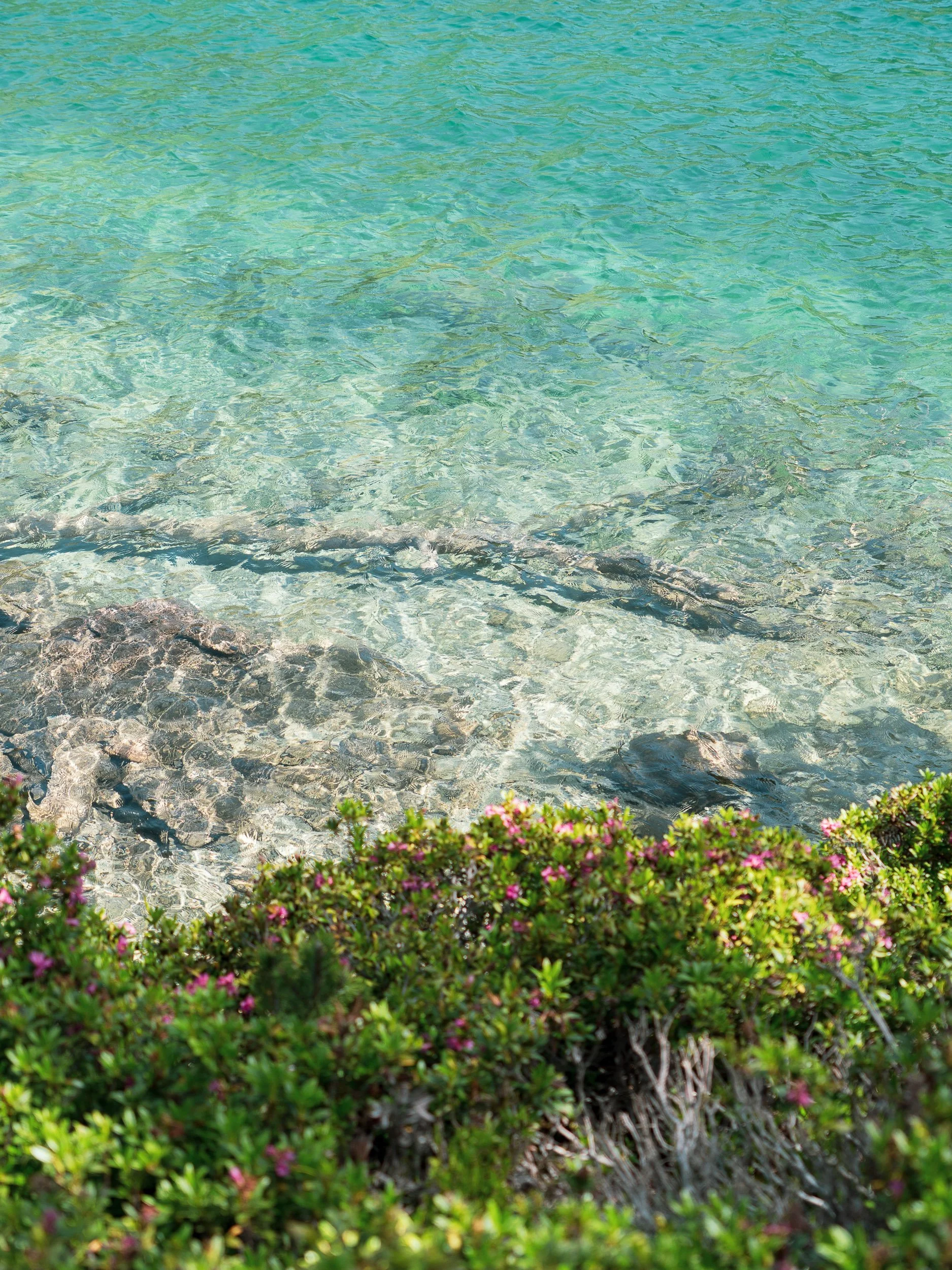Un des petits lacs des Laquettes aux eaux turquoise
