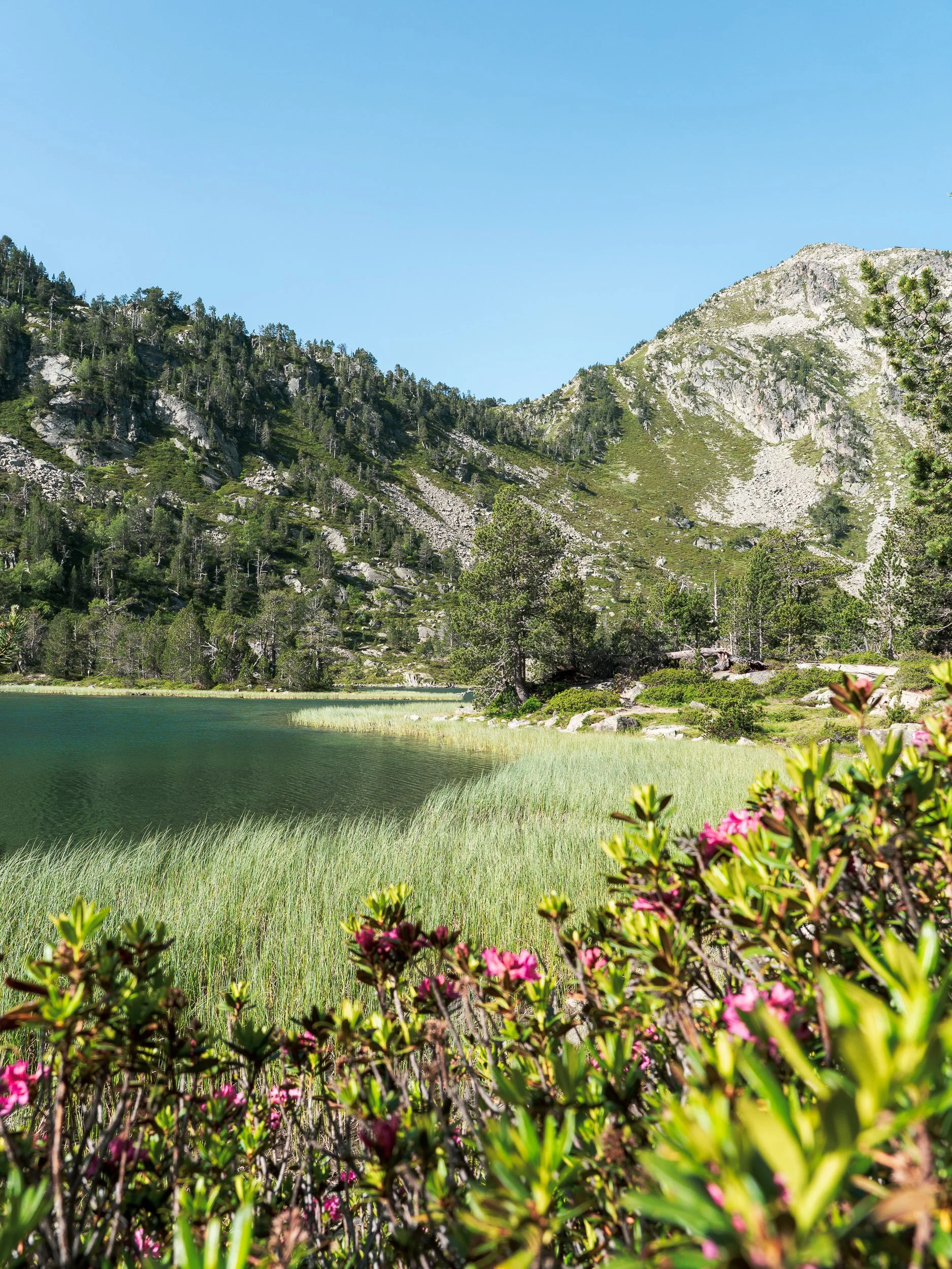 Paysage de montagne le long du sentier du Néouvielle