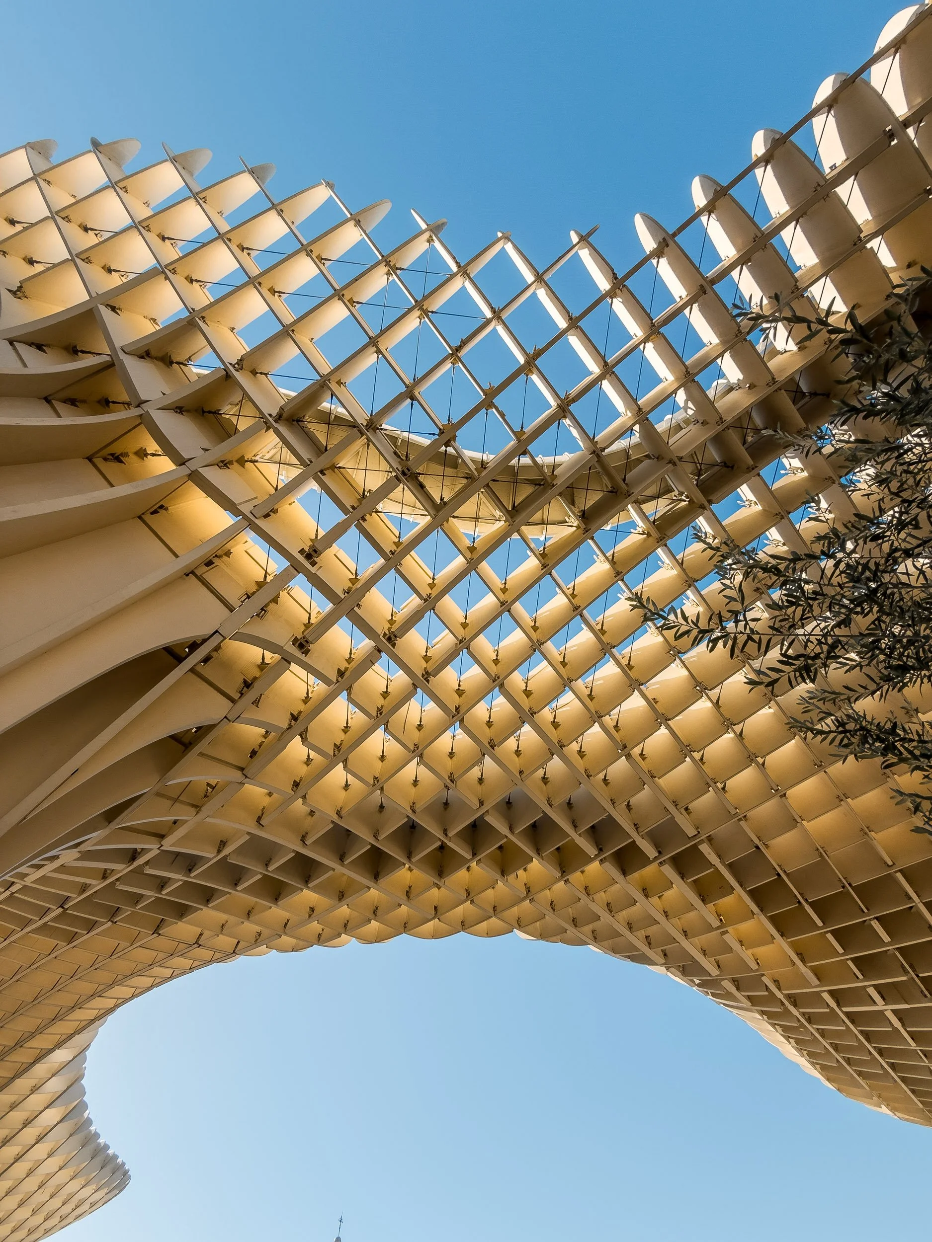 Seville-sestas-metropol-parasol.jpg