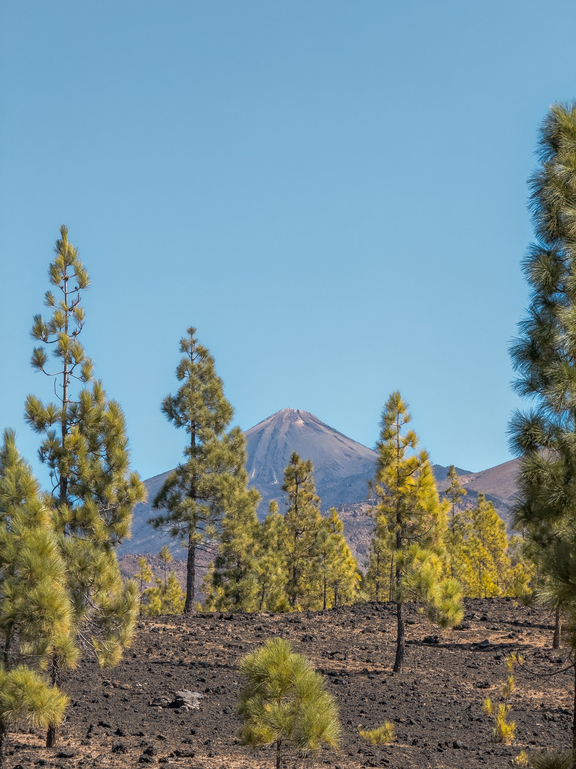 blog-voyage-tenerife-parc-national-teide-6.jpg