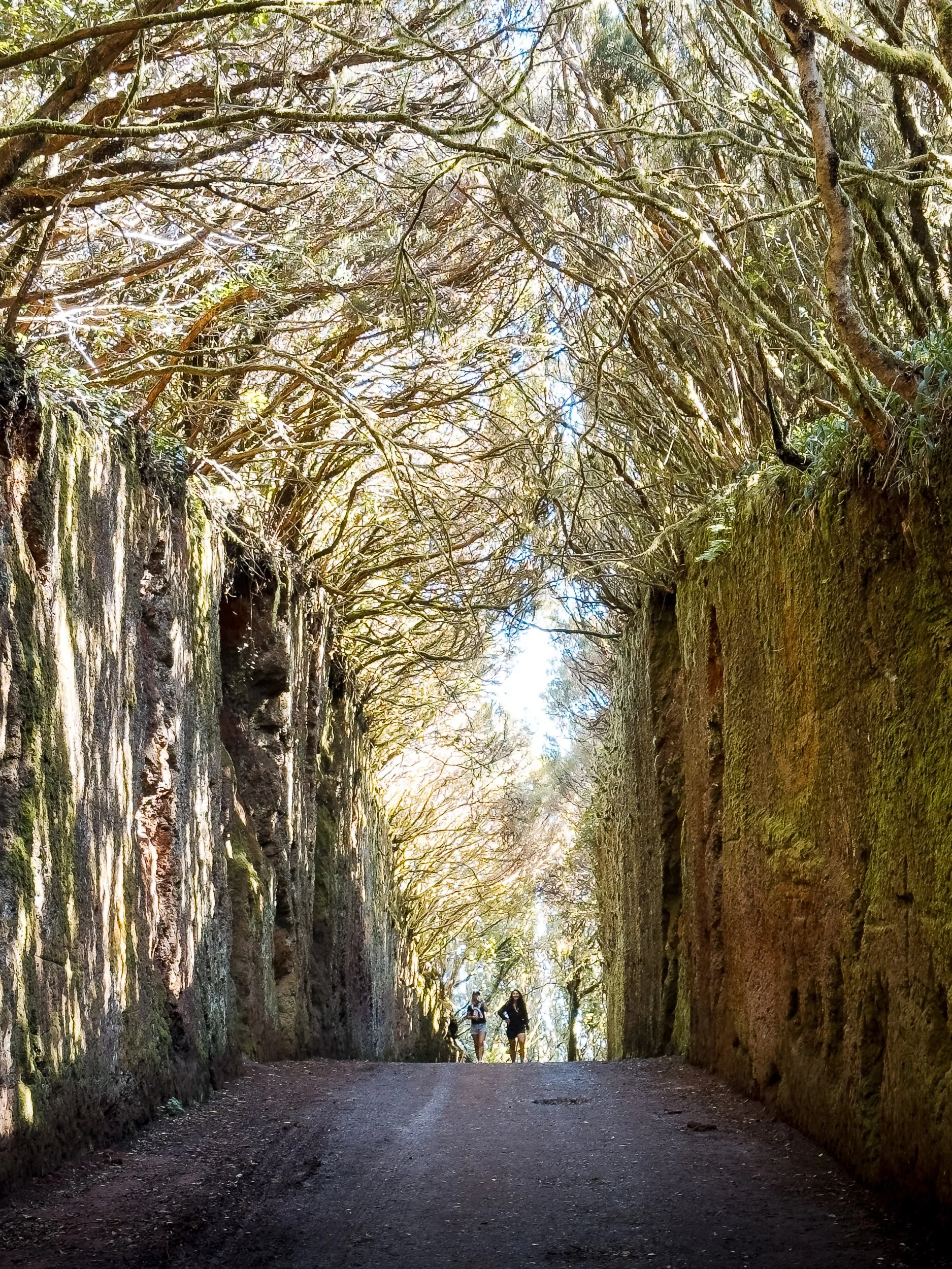 blog-voyage-tenerife-iles-cannaries-parc-rural-anaga-2.jpg