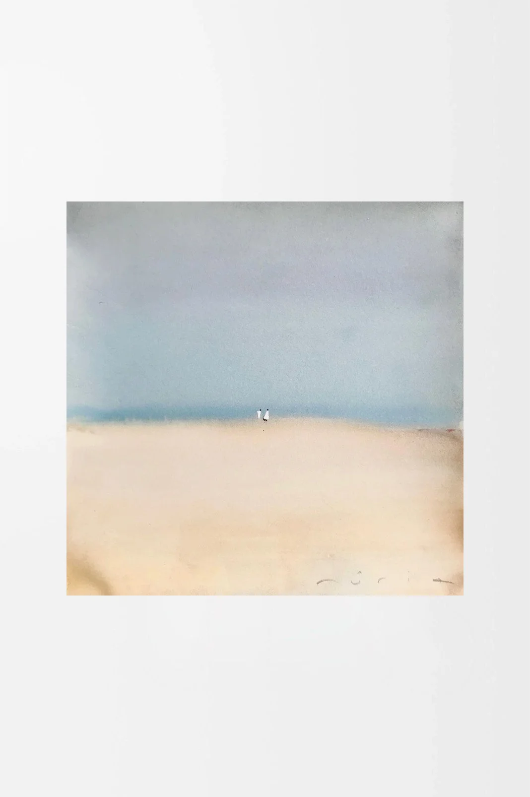 seascape-main-nuriariera.jpg