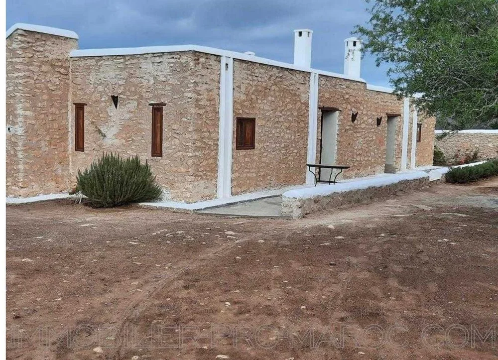 WhatsApp Image 2024-11-15 at 08.49.35 (3).jpeg