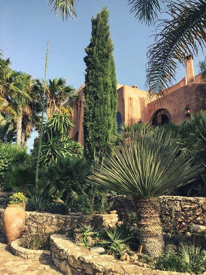 WhatsApp Image 2024-11-15 at 08.49.35 (6).jpeg