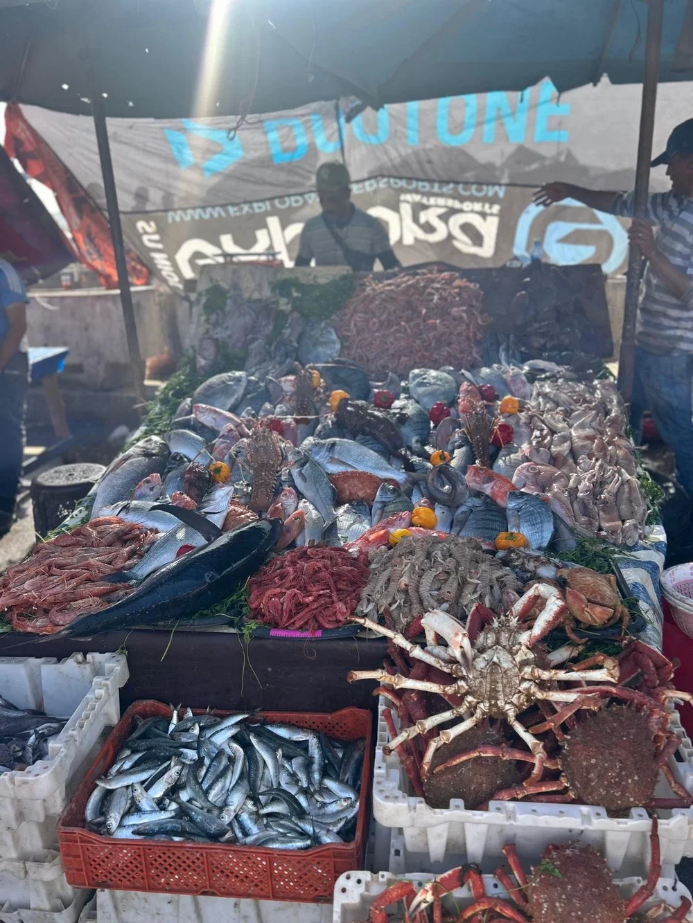 WhatsApp Image 2024-12-02 at 21.58.58.jpeg