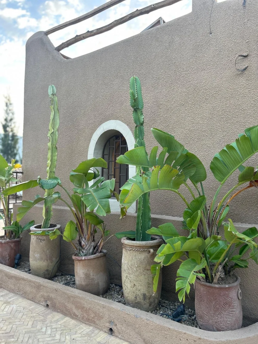 WhatsApp Image 2024-12-02 at 21.58.57.jpeg