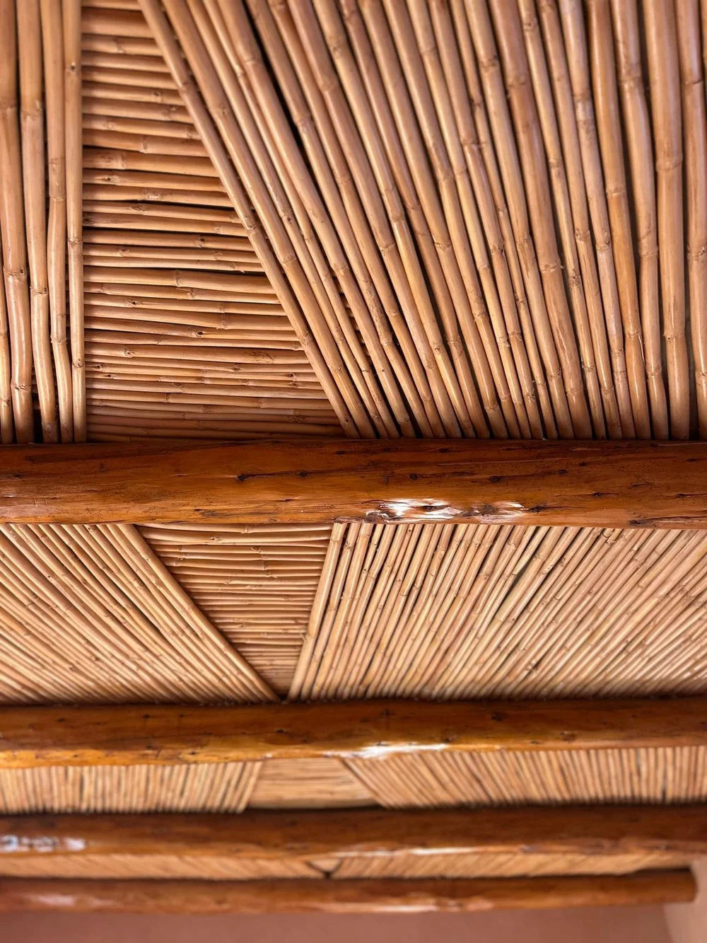 WhatsApp Image 2024-12-02 at 21.55.49 (4).jpeg