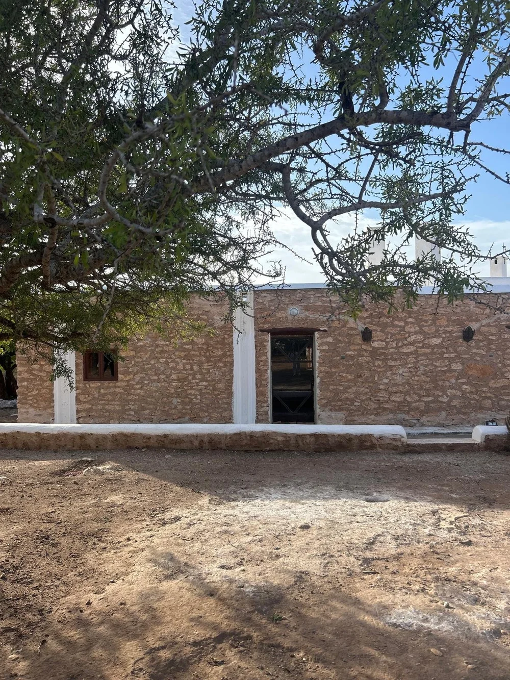 WhatsApp Image 2024-12-02 at 21.55.49.jpeg