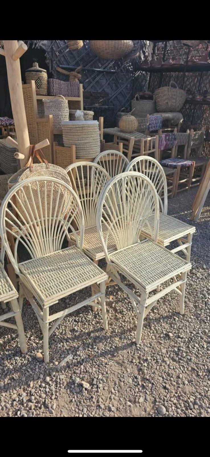 WhatsApp Image 2025-02-27 at 11.24.02.jpeg