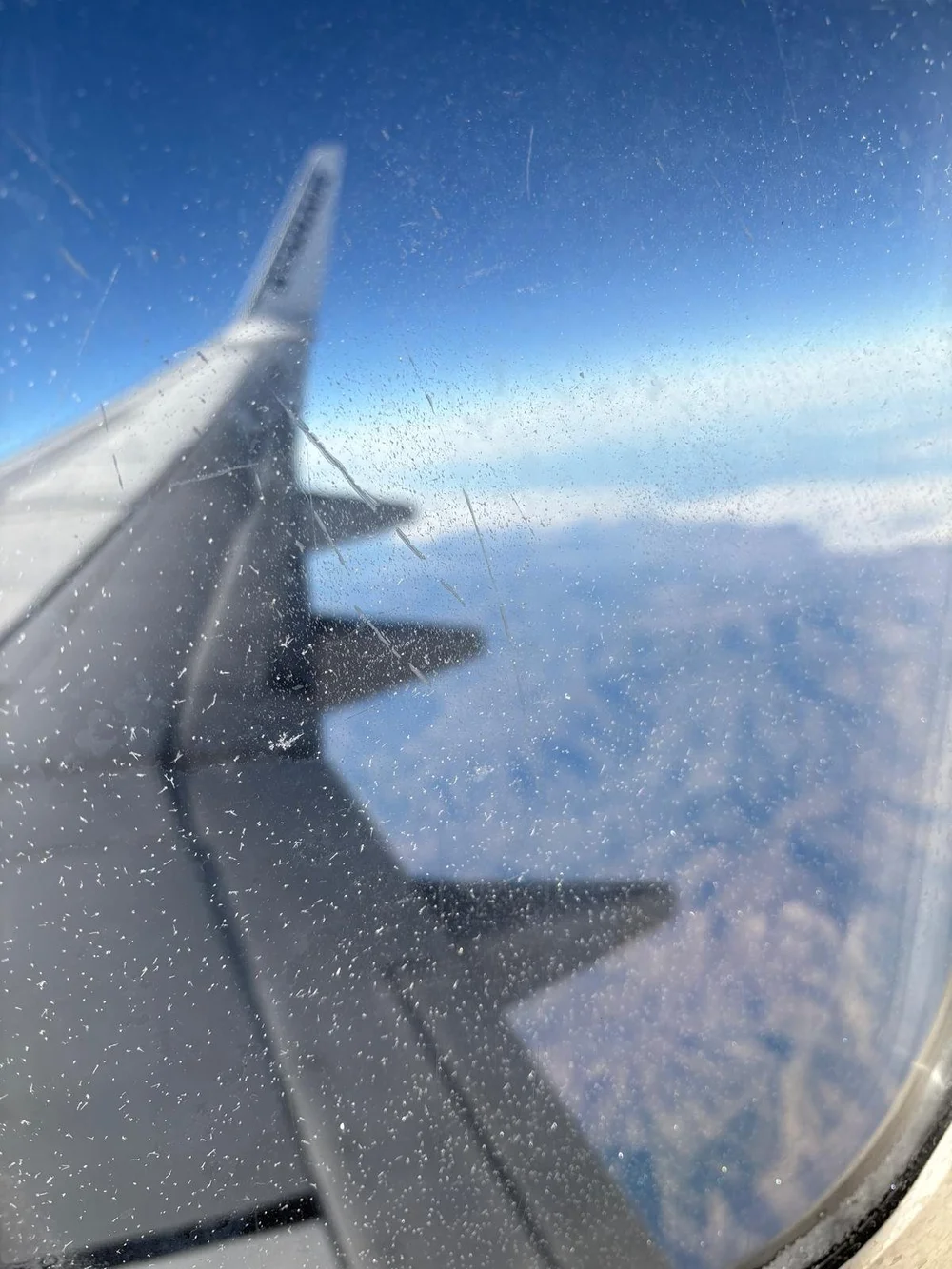 WhatsApp Image 2025-02-27 at 11.25.34.jpeg