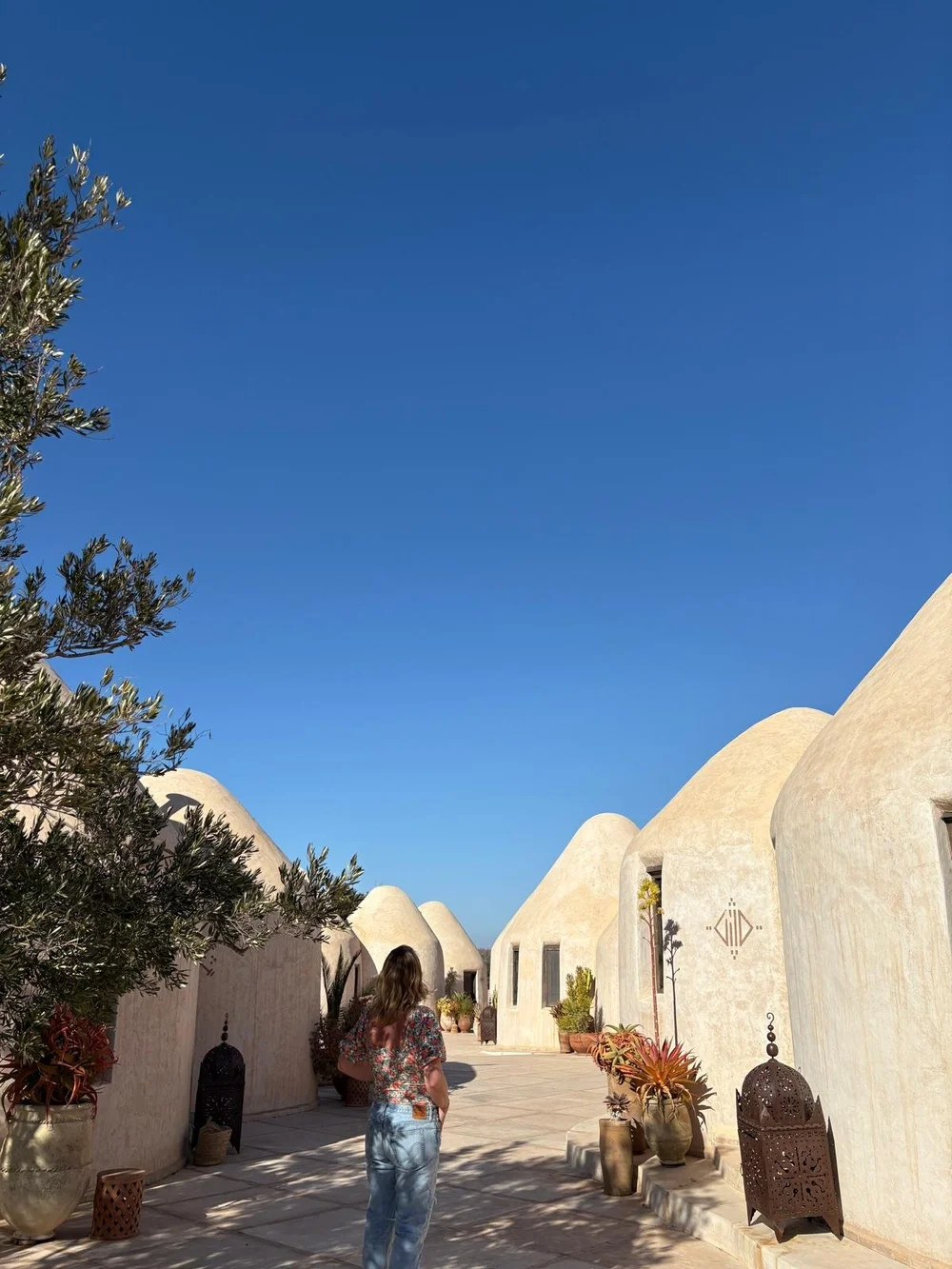 WhatsApp Image 2025-02-27 at 11.27.42.jpeg