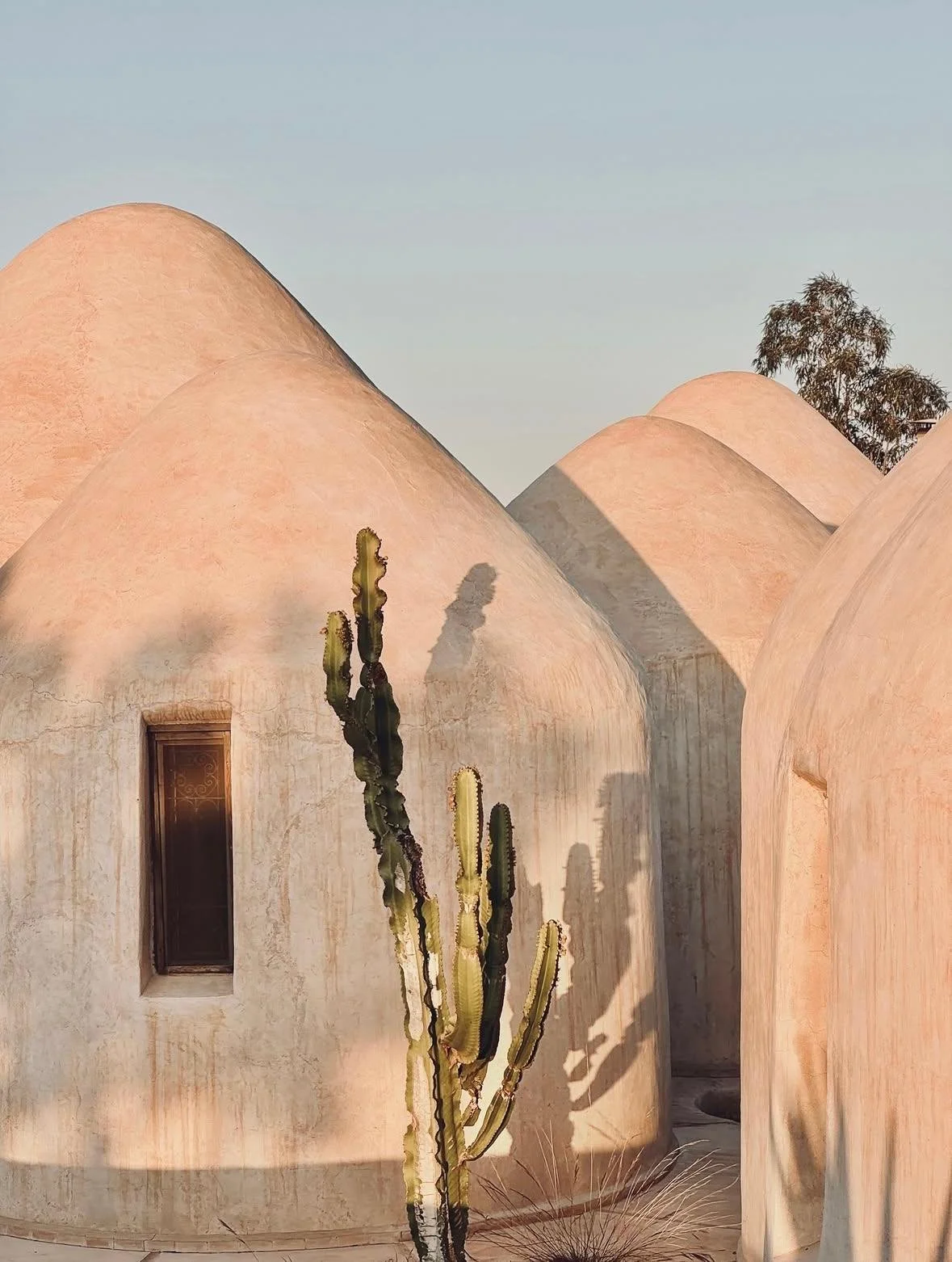 WhatsApp Image 2025-11-19 at 12.01.37 (3).jpeg