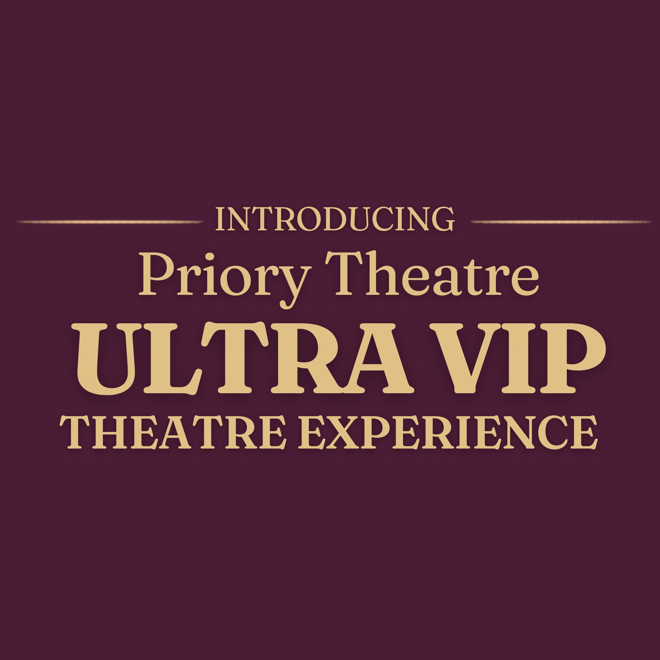 VIP THEATRE EXPERIENCE