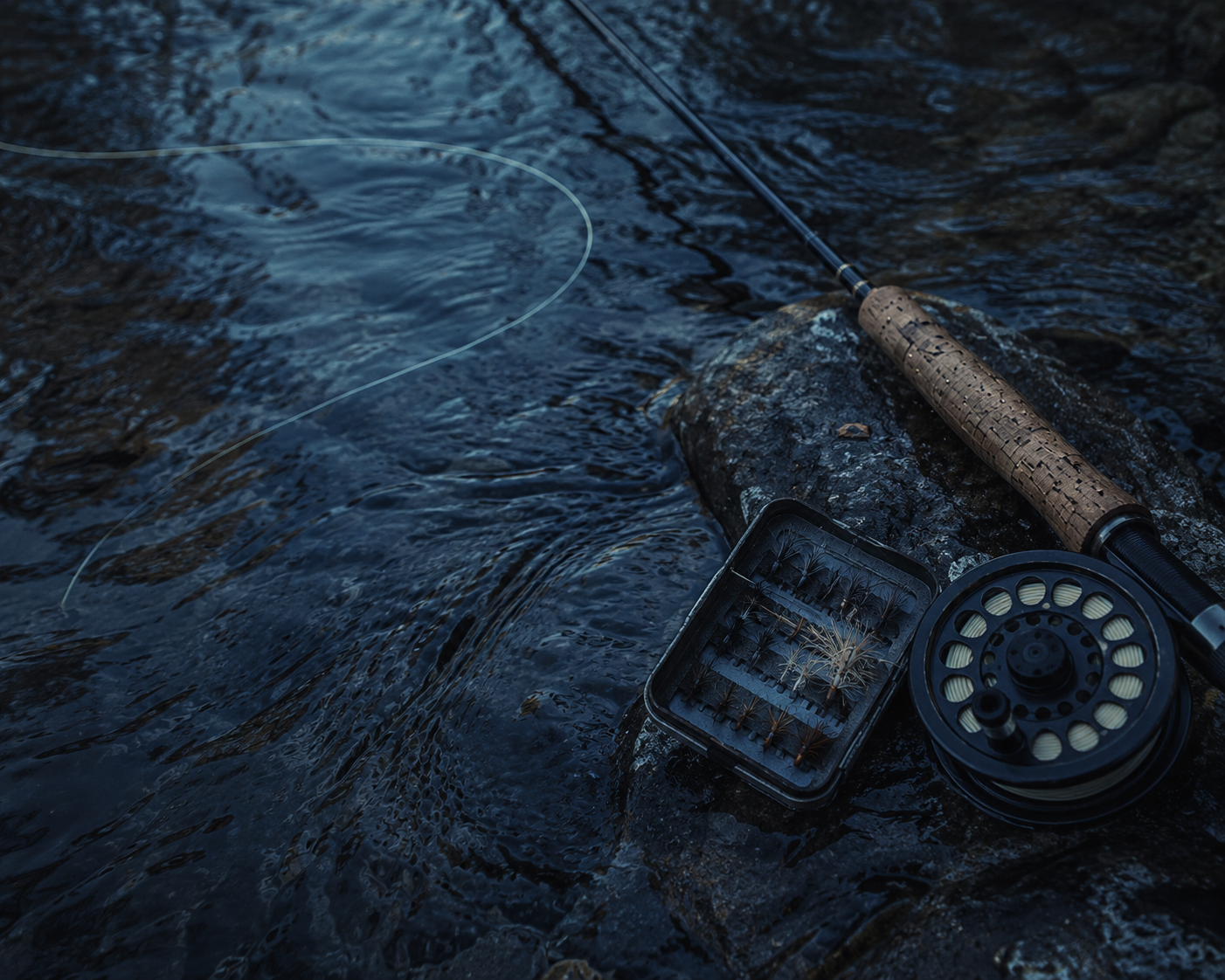 The Fish Didn’t Get The Memo