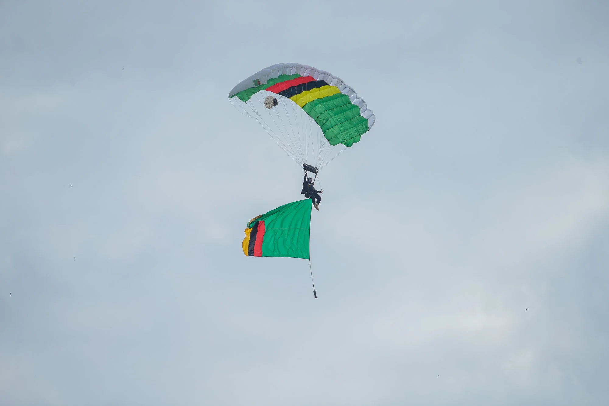 A person skydiving with a parachute that has the colors of the German flag—black, red, and yellow—while holding a matching flag.