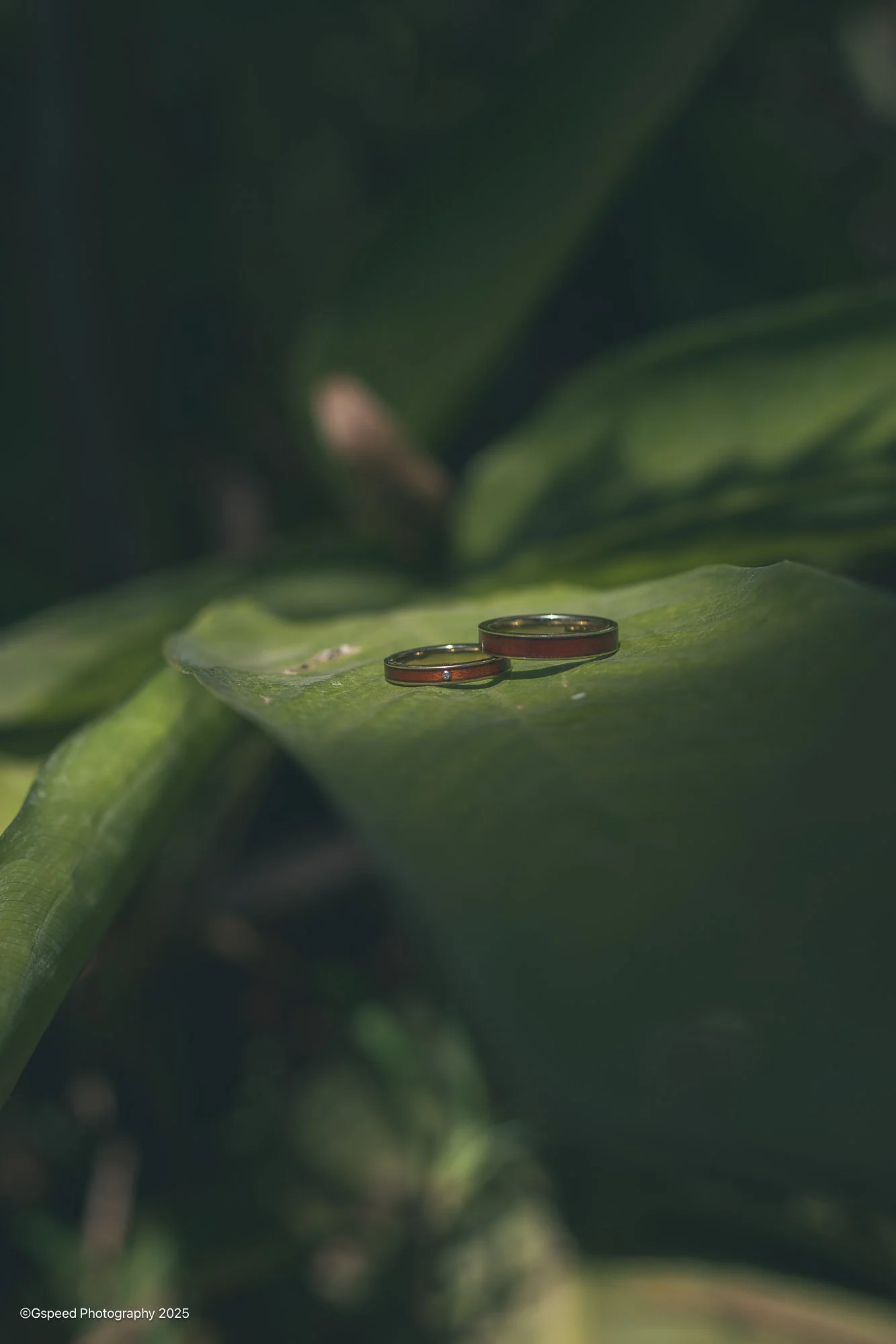 Close-up photo of two wedding rings placed on a green leaf, with blurred background of leaves.