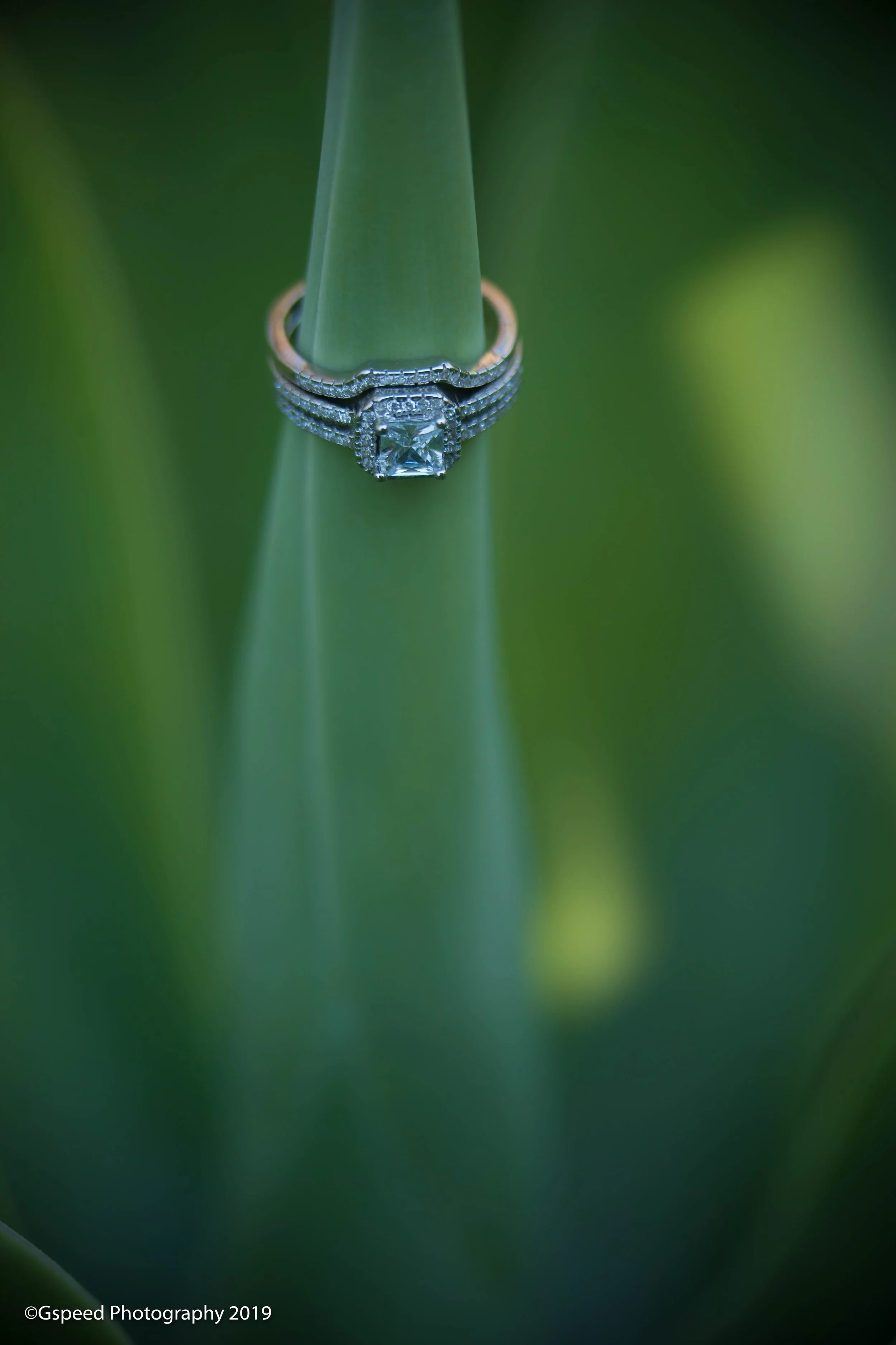 Close-up of a diamond engagement ring with a princess cut stone on a green plant stem.