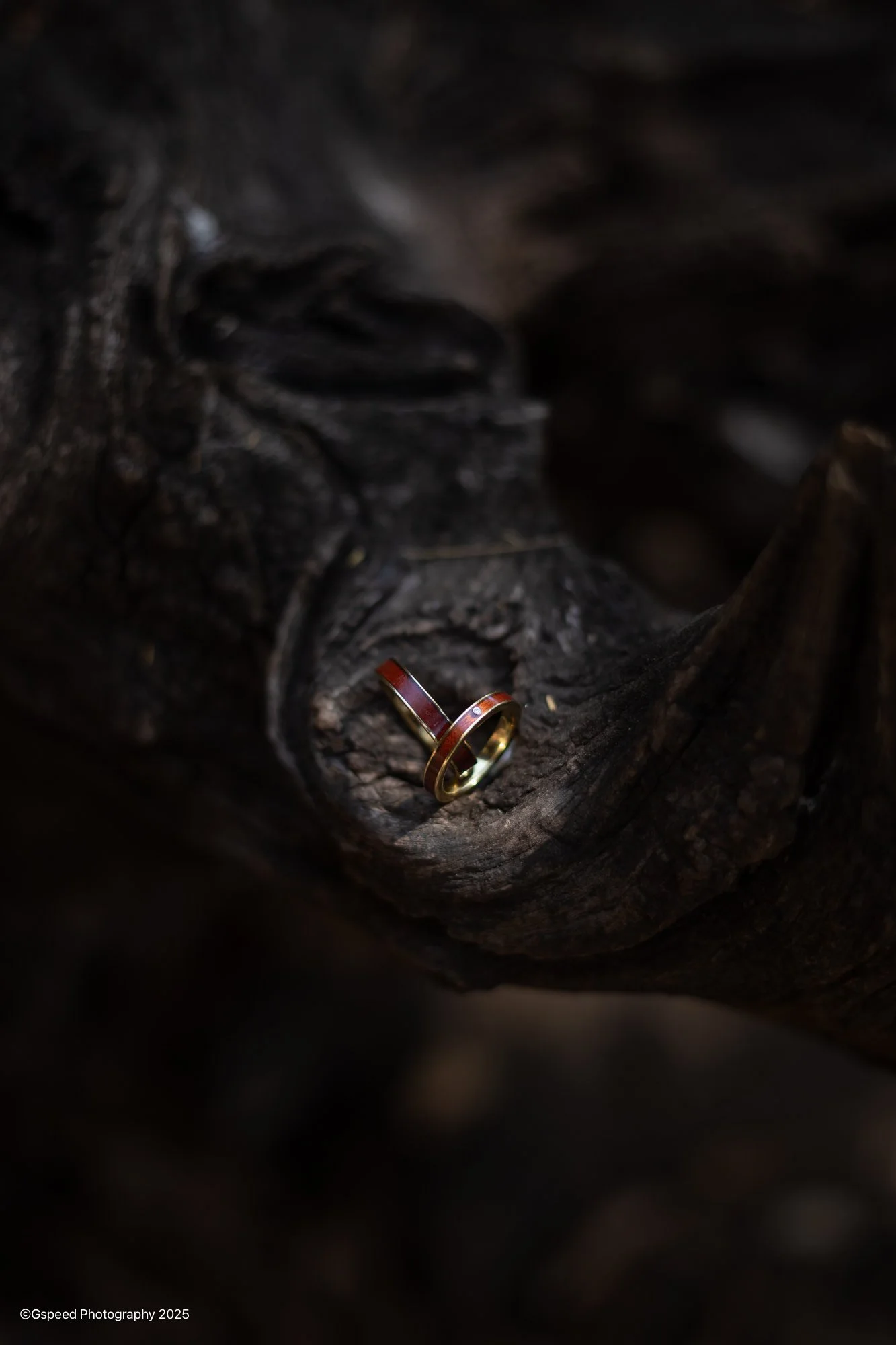 Close-up of two rings with gold and red design resting on charred wood, dark background.