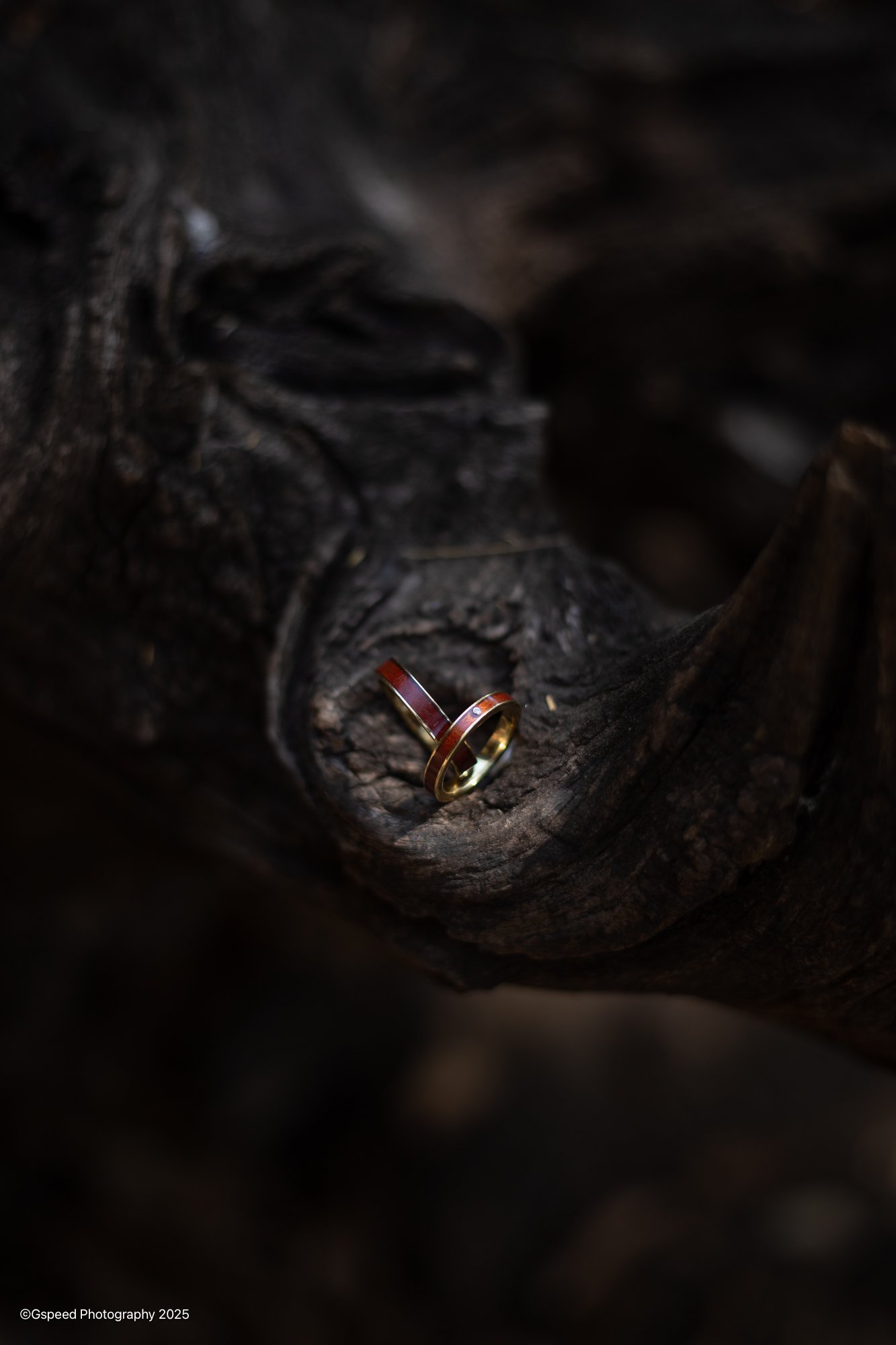 A photograph of a gold wedding band with a red stripe, placed inside a dark, textured hollow log.