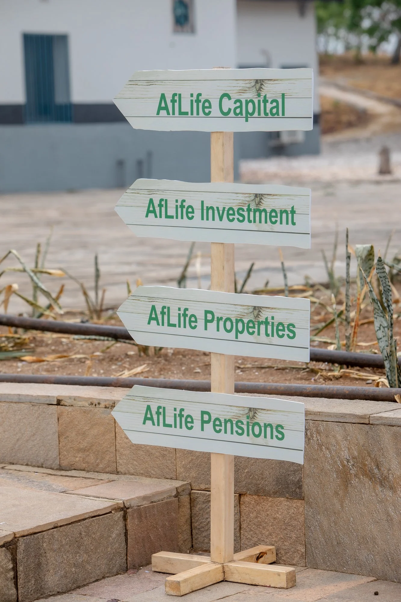 A wooden signpost with four directional signs, each reading 'AFlife' and different words: 'Capital,' 'Investment,' 'Properties,' and 'Pensions,' situated outdoors near a stone wall with some plants and a background building.