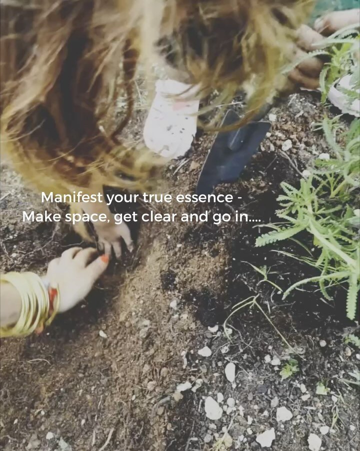 Somatic Solstice vibes 🌱☀️

Let the roots bed in, rise to the sun, breath with the earth, sing your heart song 🤍

#summersolstice #somatichealing #breathwork #tre #authentic #essence #nature #rootdown #rise #welcomehome #magneticwholeness