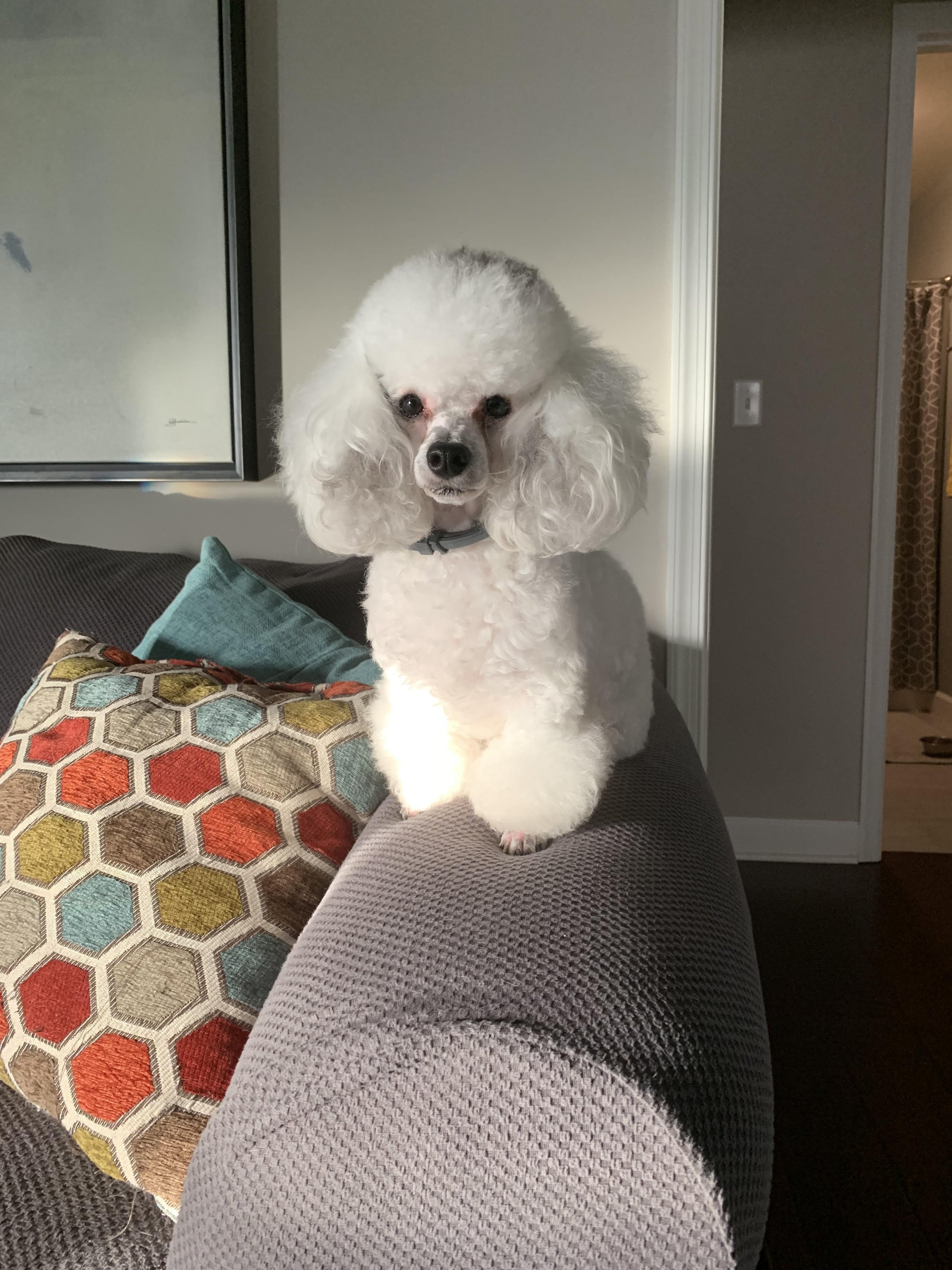 floof1.jpg