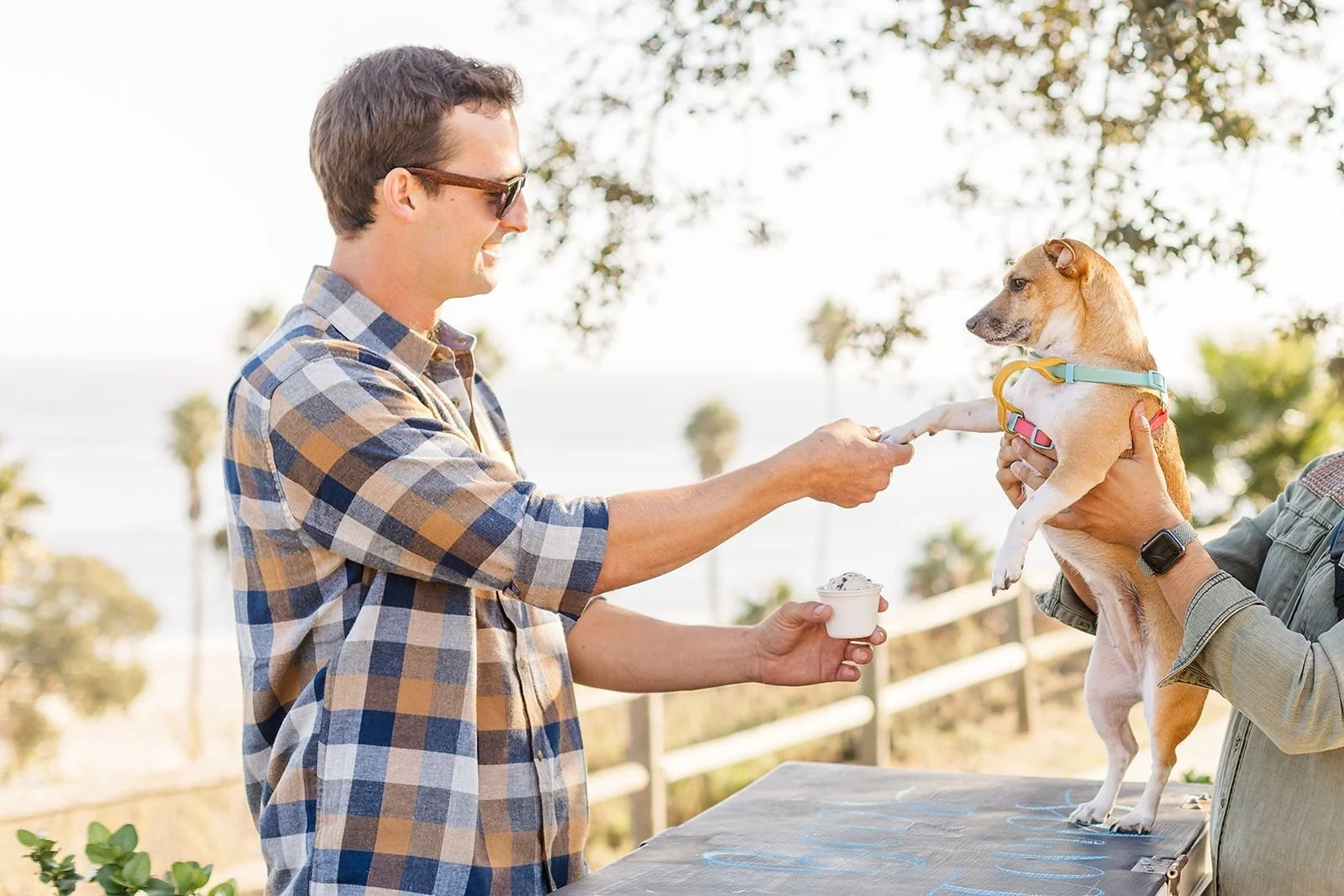 Puppy Hour and Wedding Pros with Veils &amp; Tails Photography
