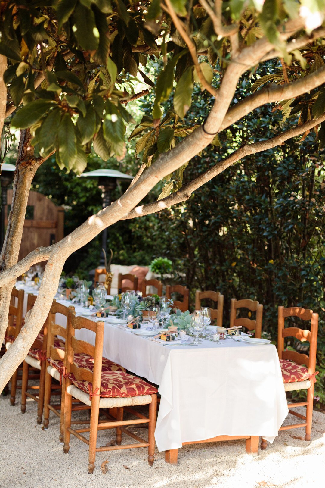 www.santabarbarawedding.com | Kaitie Brainerd | San Ysidro Ranch | Reception Table Set Up with Disposable Cameras for Guests