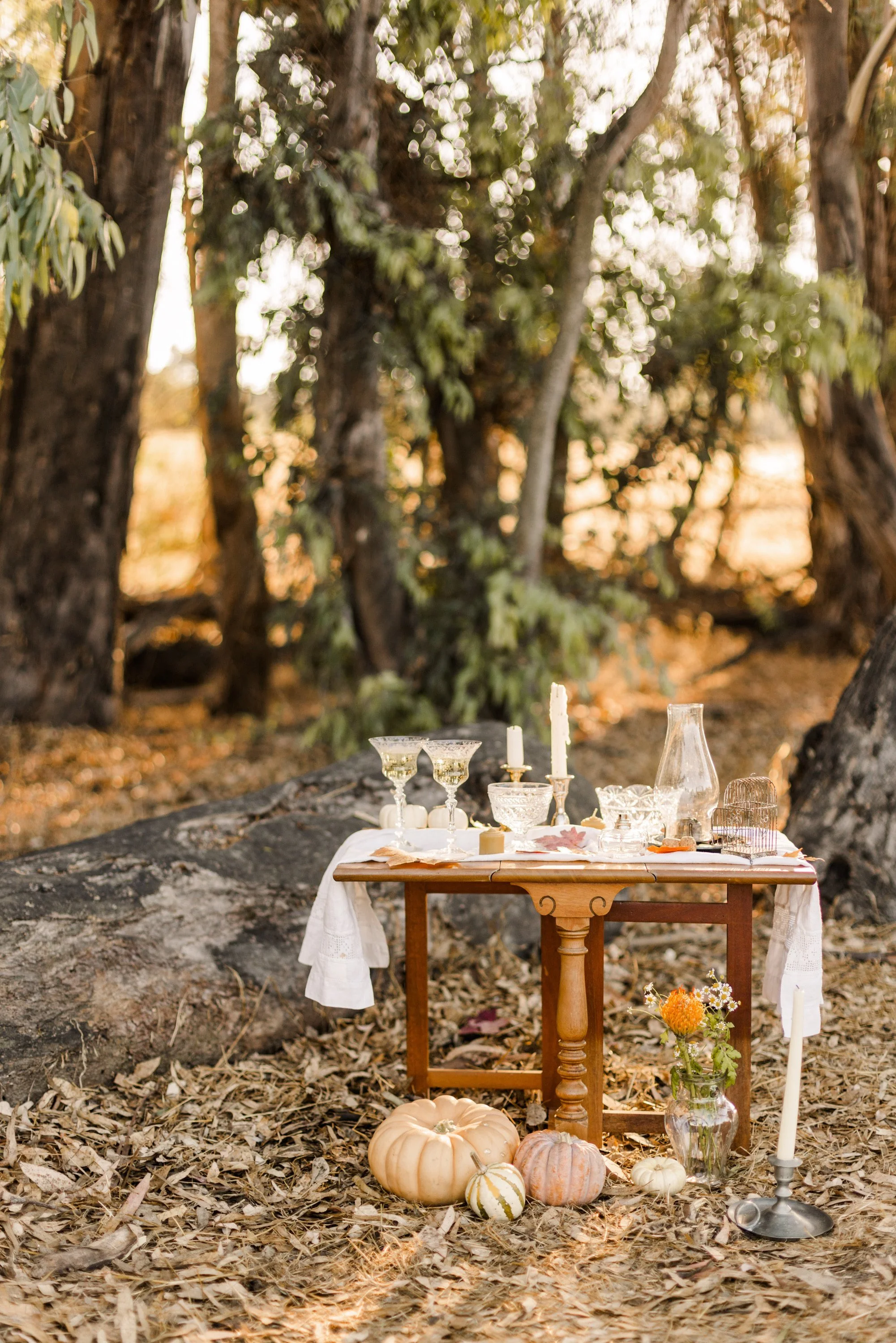 www.santabarbarawedding.com | Veils &amp; Tails | Trader Joe’s Alpha Thrift | Halloween Inspired Table Set Up with Pumpkins