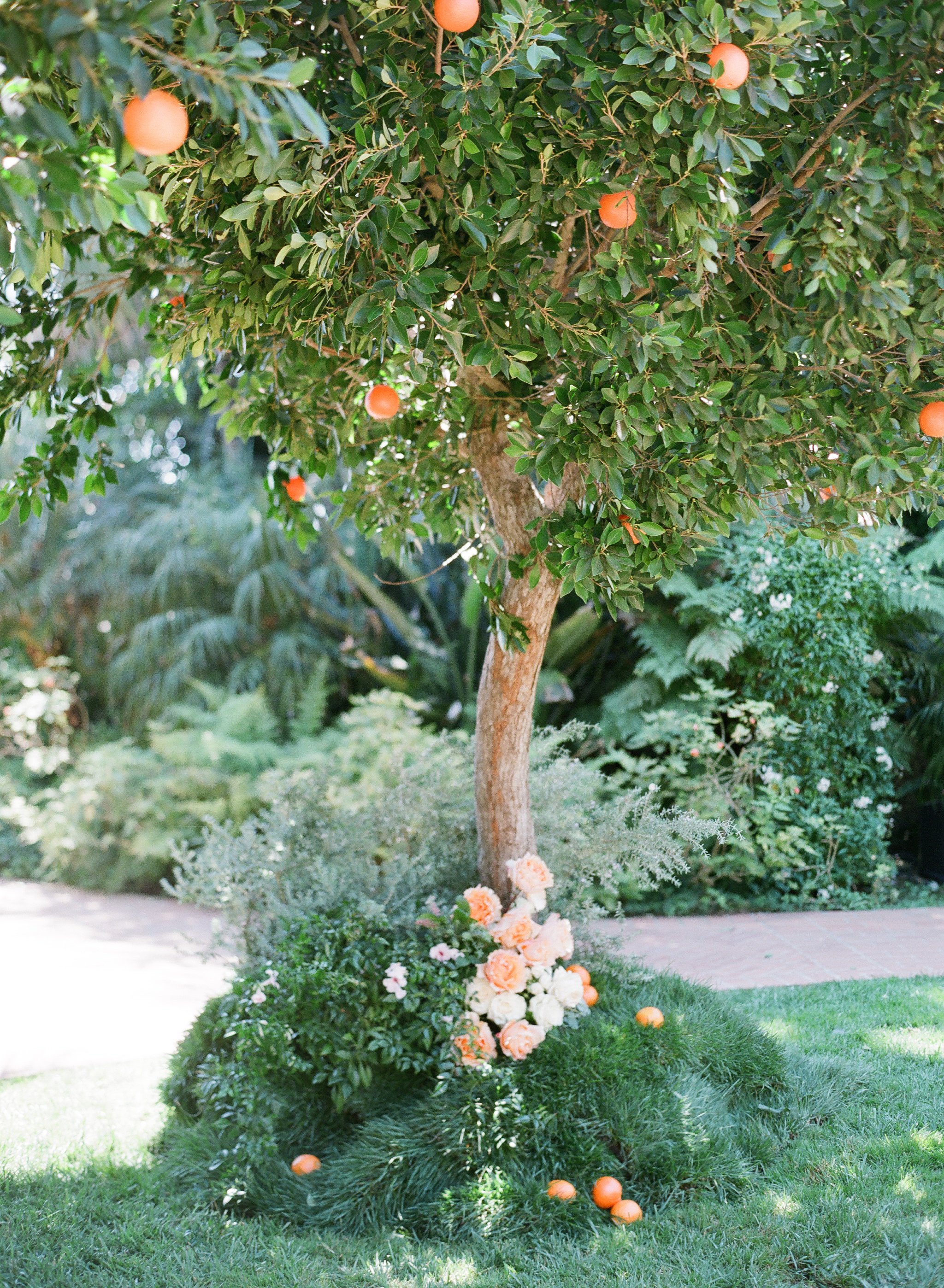 santabarbarawedding.com | Photo: Megan Sorel | Citrus Wedding Ideas at the Santa Barbara Four Seasons