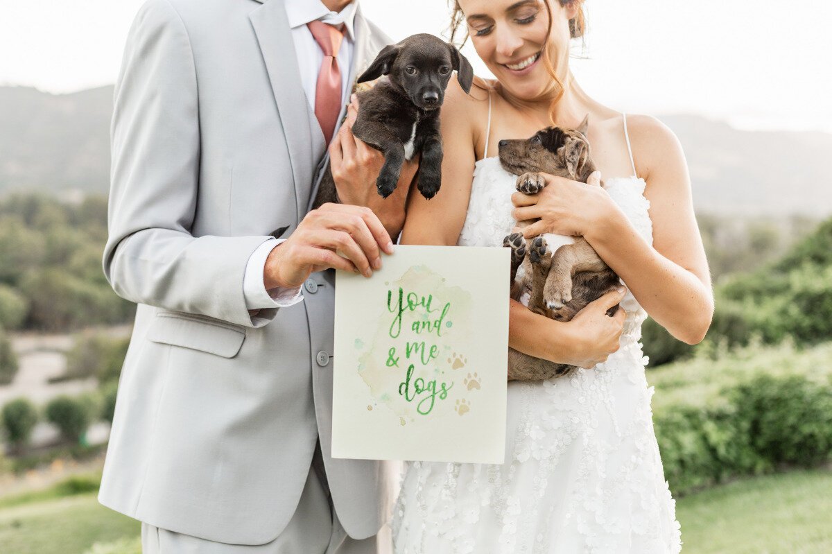 www.santabarbarawedding.com | Megan Rose Events | Veils &amp; Tails Photography | Whispering Rose Ranch | Spark Rescue | Revelry | Generation Tux | Bride and Groom Holding Puppies