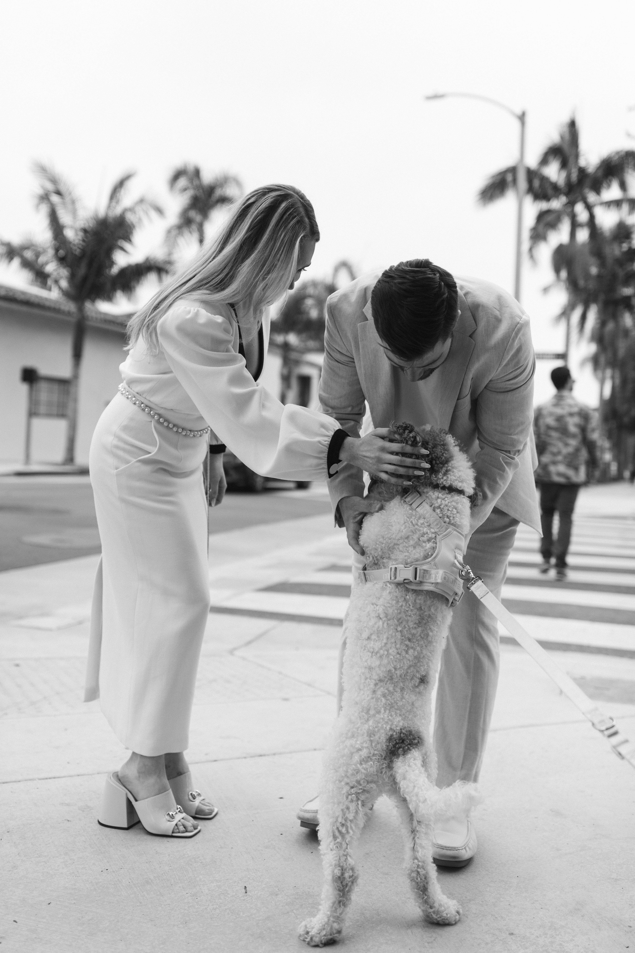 www.santabarbarawedding.com | Monique Bianca Photography | Downtown Santa Barbara | Valentino | Rowen Rose | The Engaged Couple with Their Dog