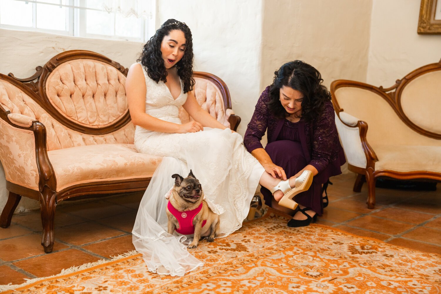  www.santabarbarawedding.com | SB Historical Museum | Veils &amp; Tails Photography | SB Wedding Coordinator | Grass Roots | LunaBella Makeup &amp; Hair | Accessorize Your Pug | Bride Getting Ready with Pug 